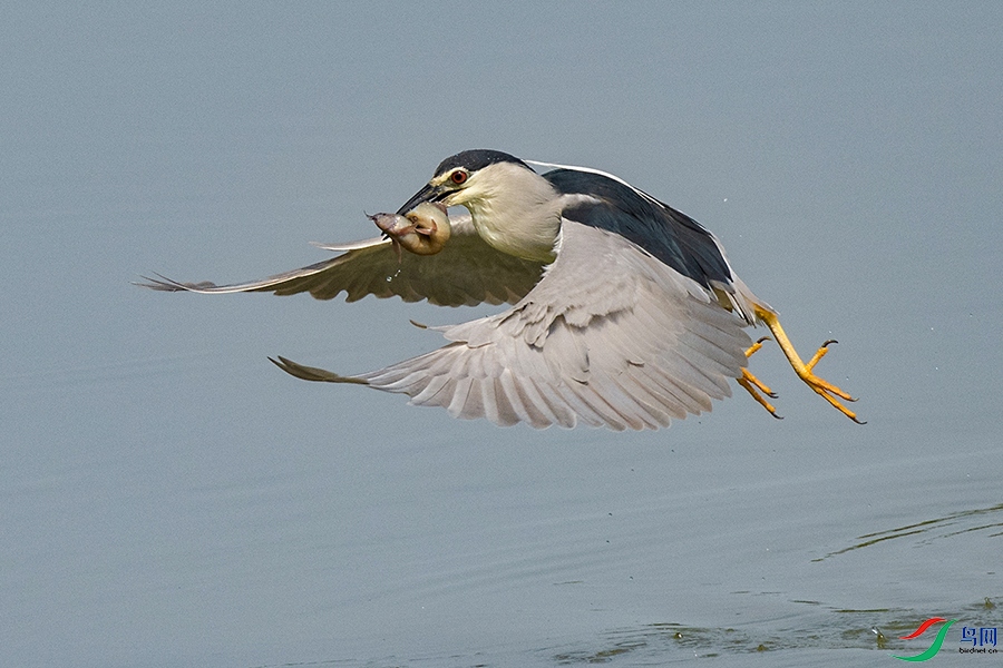 _DSC5454---.jpg
