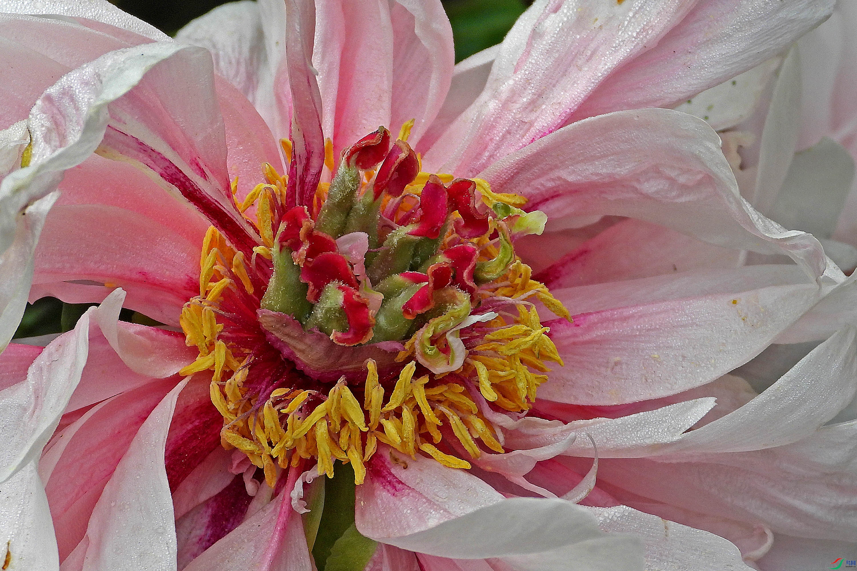 DSCN3043.JPG