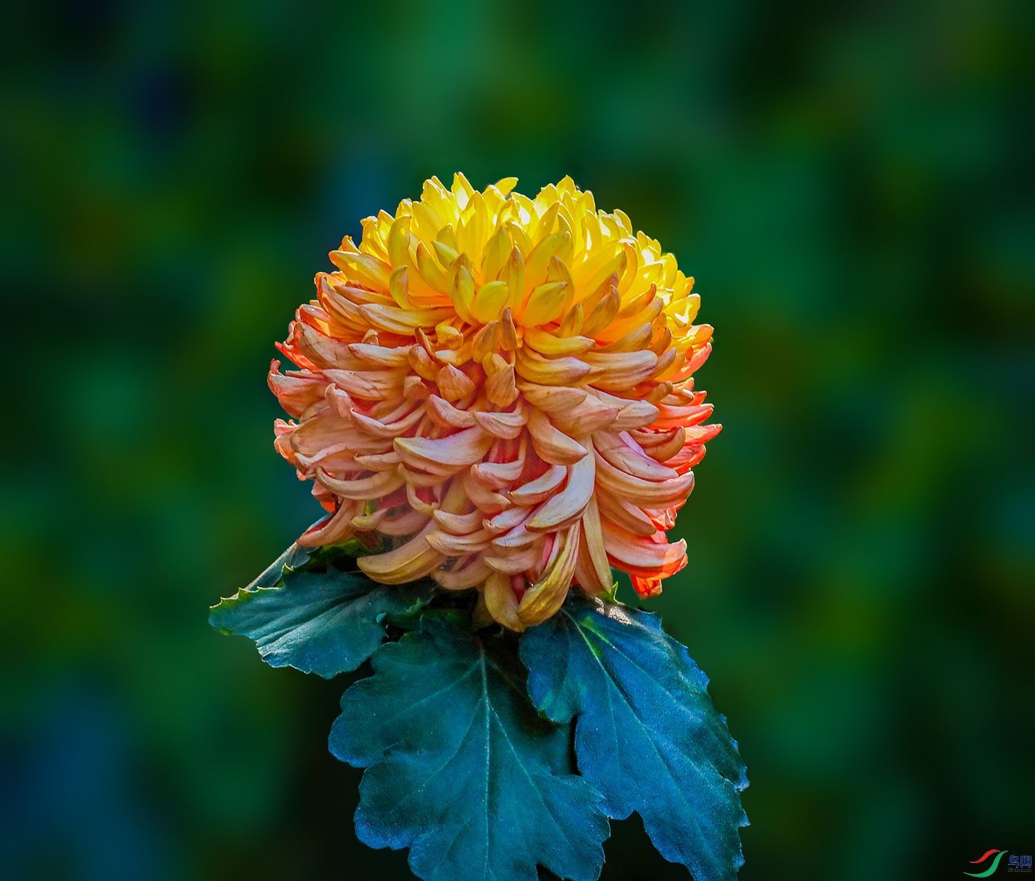 0000583A0424���ɹ� 1000k.jpg