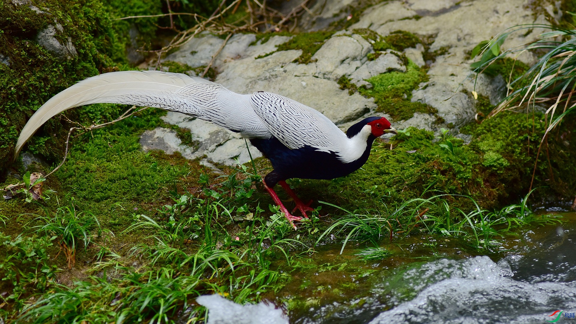 D8I_3218.jpg
