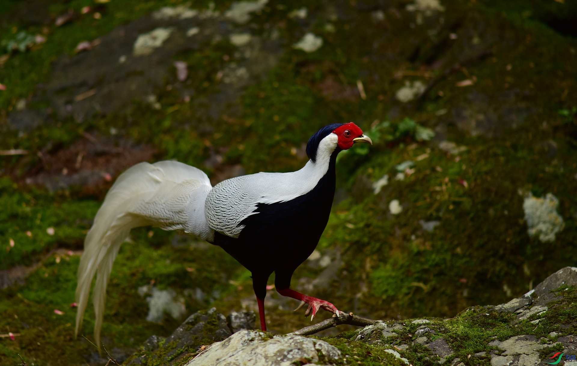 D8I_3292.jpg