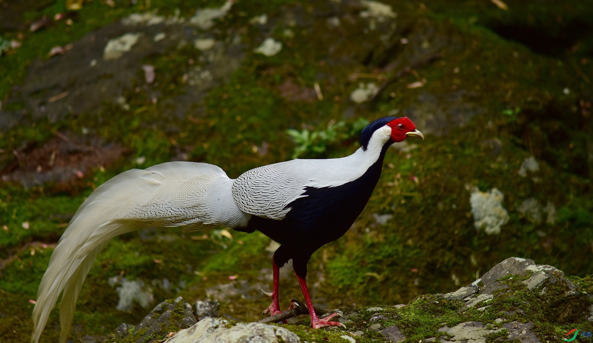 D8I_3294.jpg