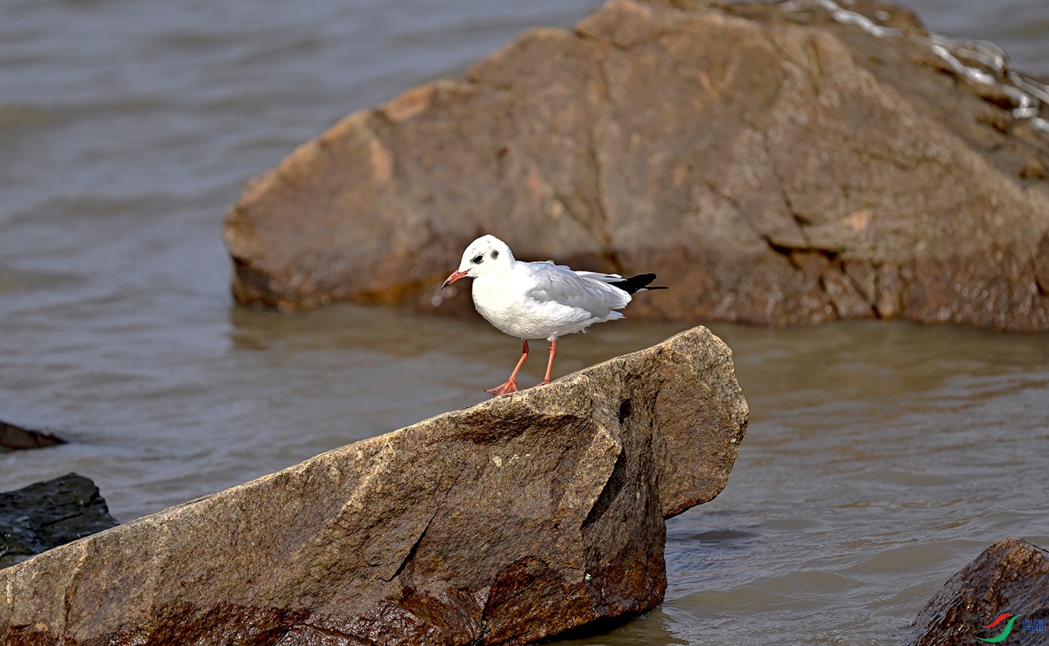 _DSC6326f.jpg