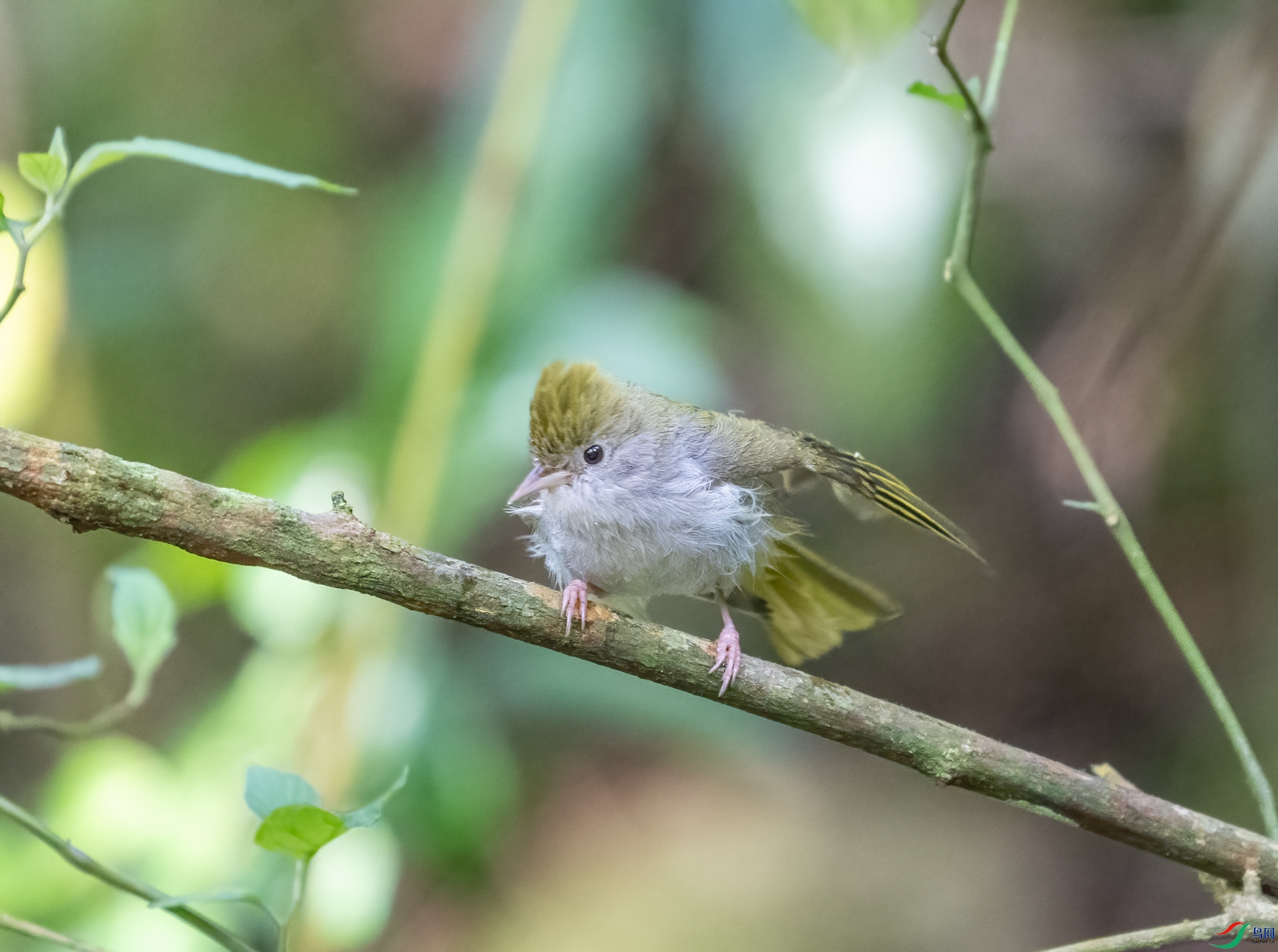 DSC_7080.jpg