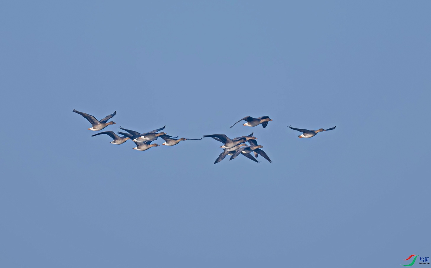 _DSC3793f.jpg
