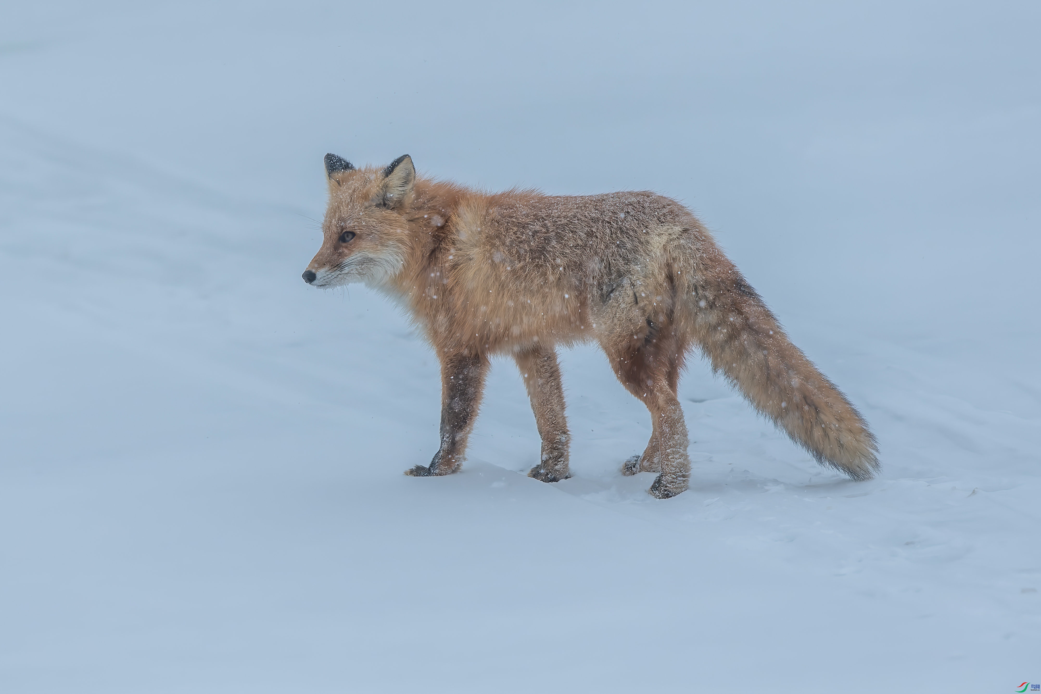 DSC_1320.jpg