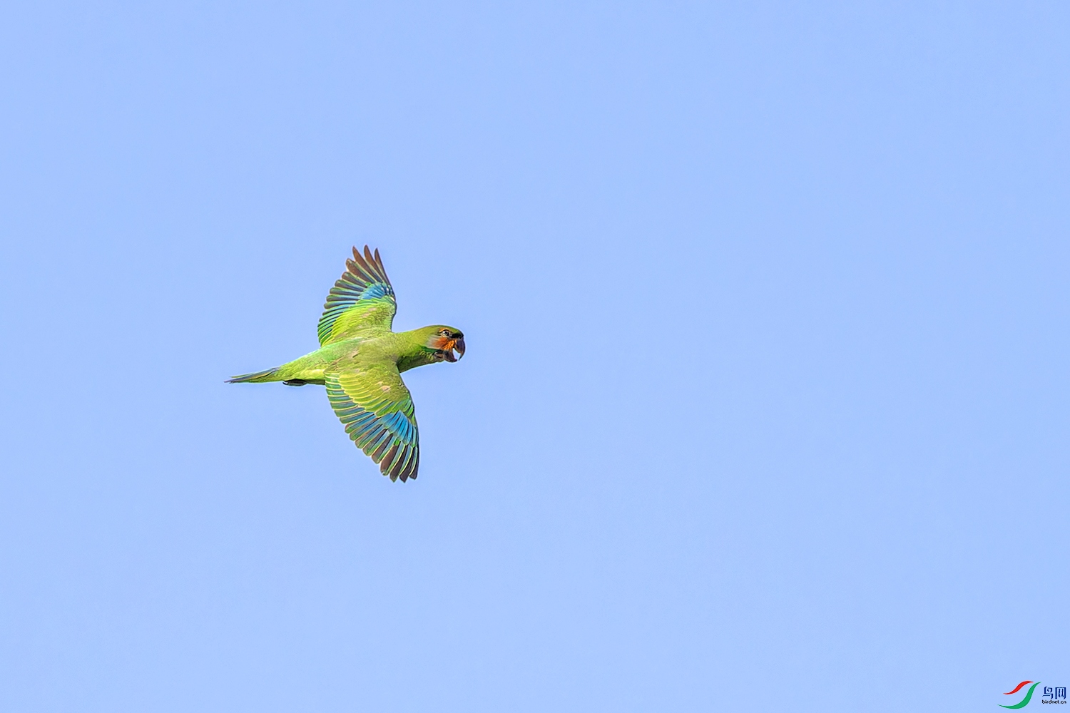 _97A6944-CR3 copy.jpg