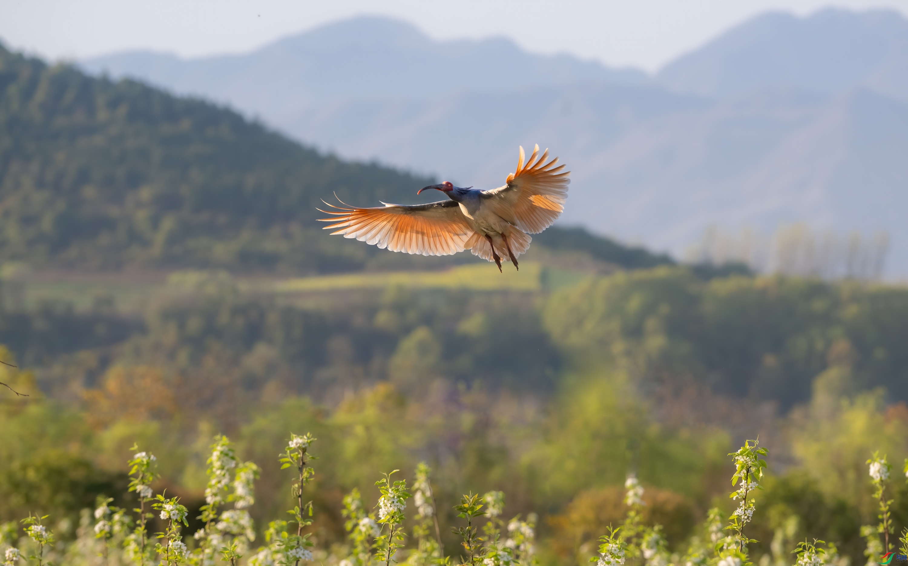 DSC_4101-11.jpg