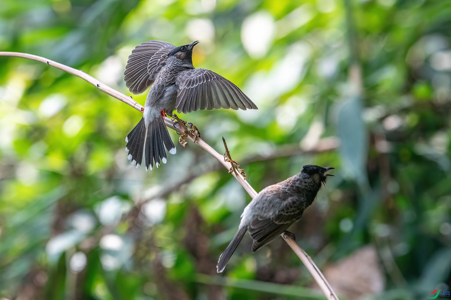 DSC_2527.jpg