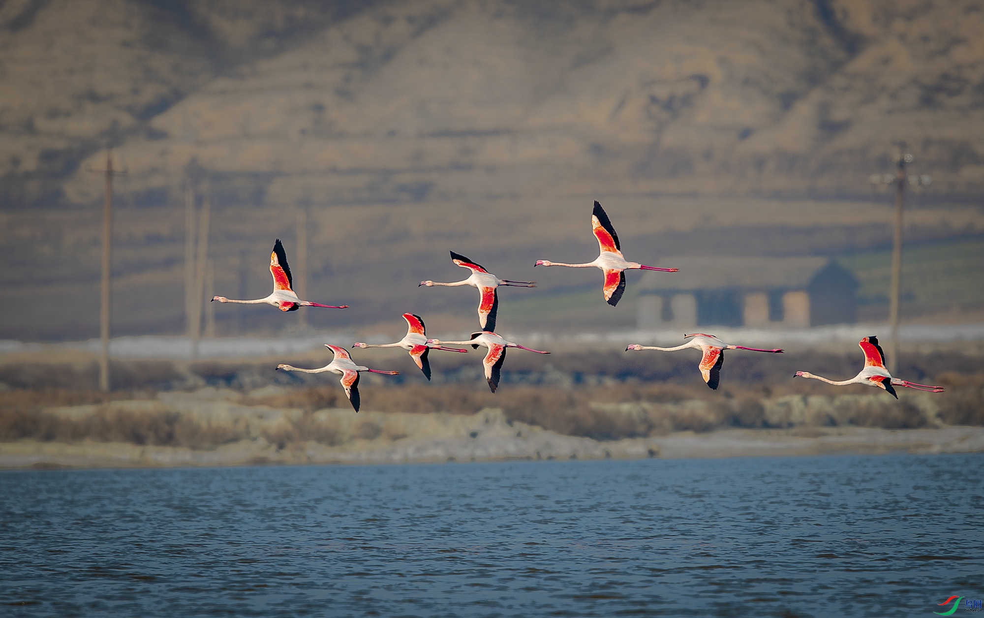 C40I8247-����ǿ-NR ����.jpg