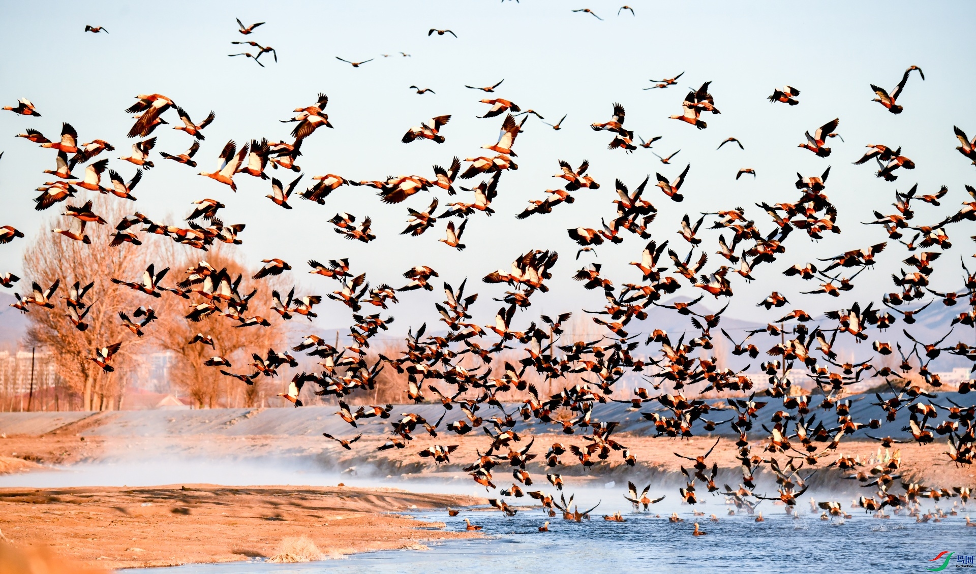 ���裨����