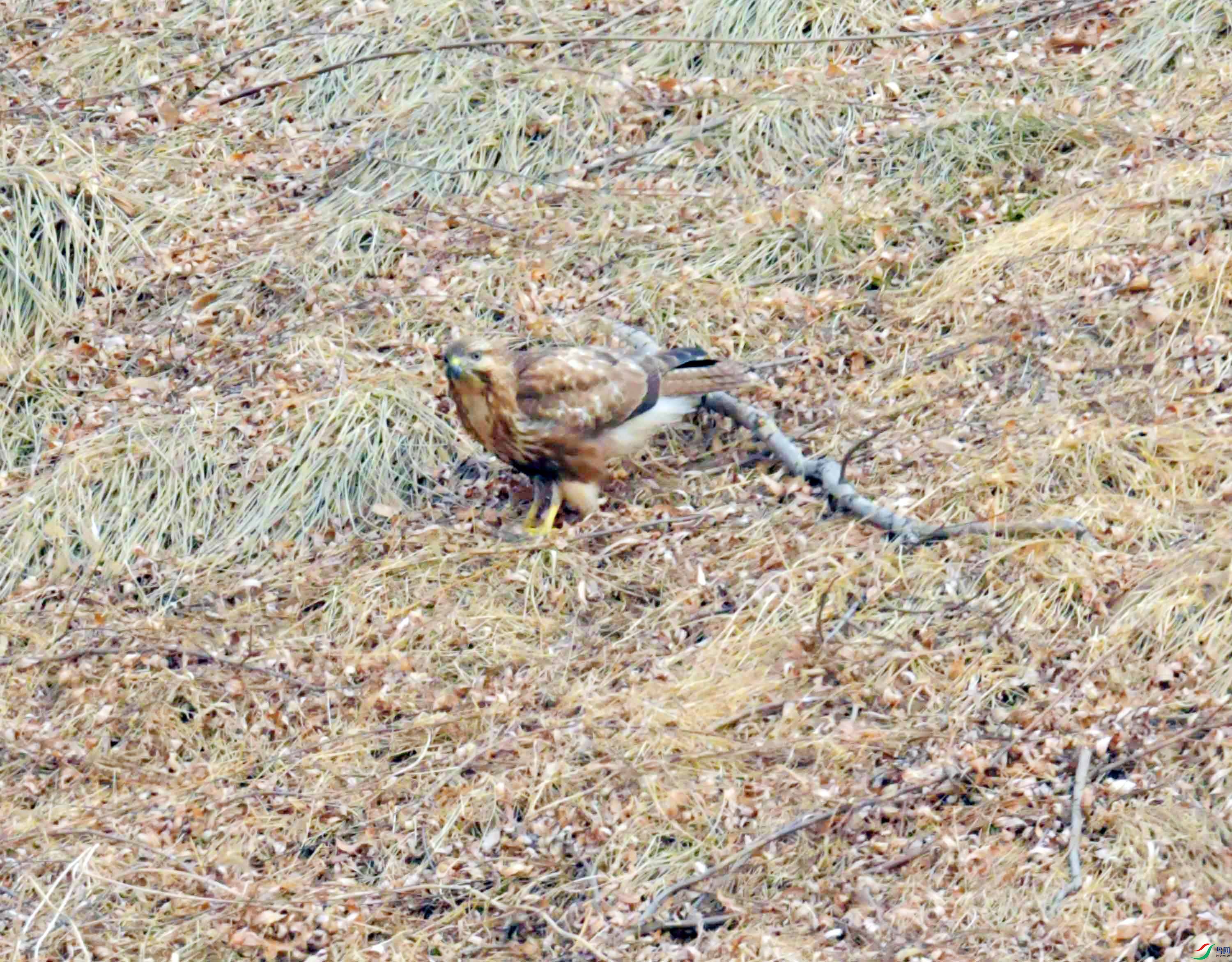 DSC_2640.JPG