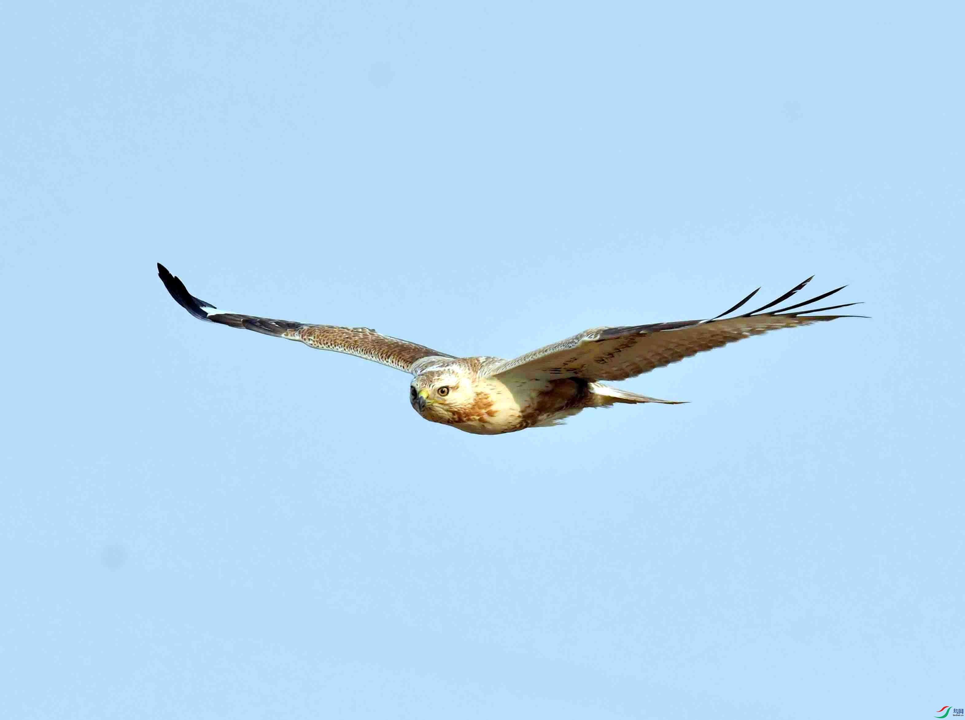 DSC_6073.JPG