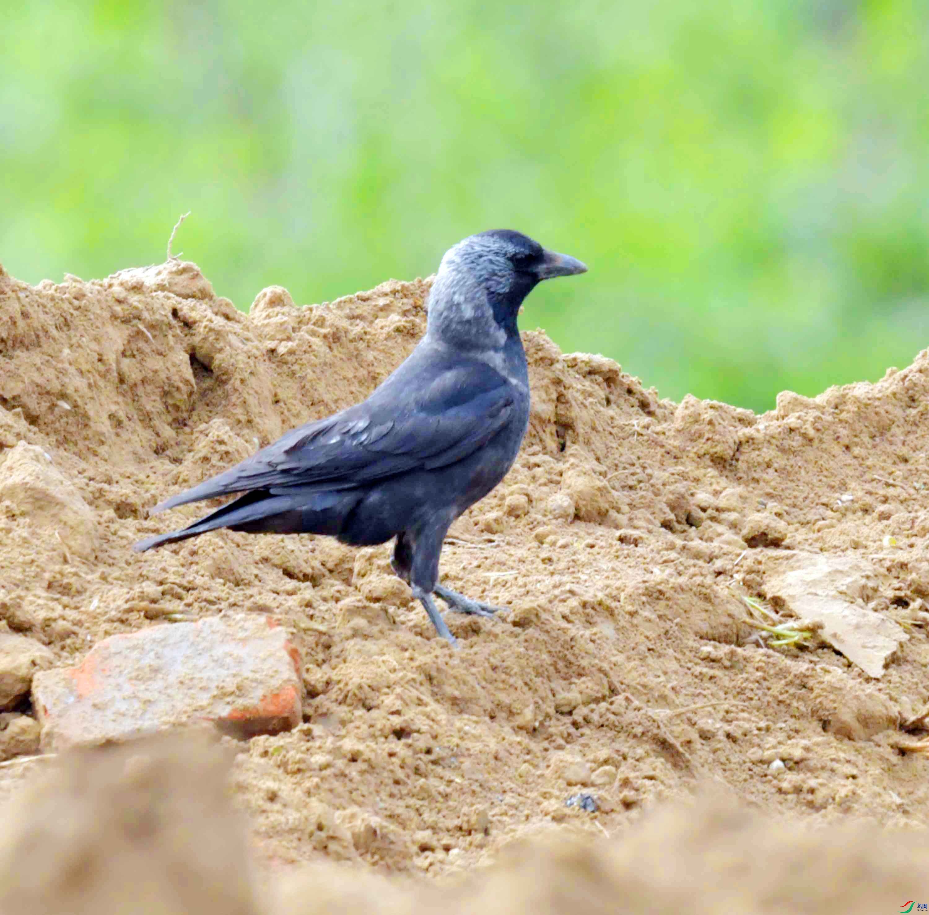 DSC_9005.JPG