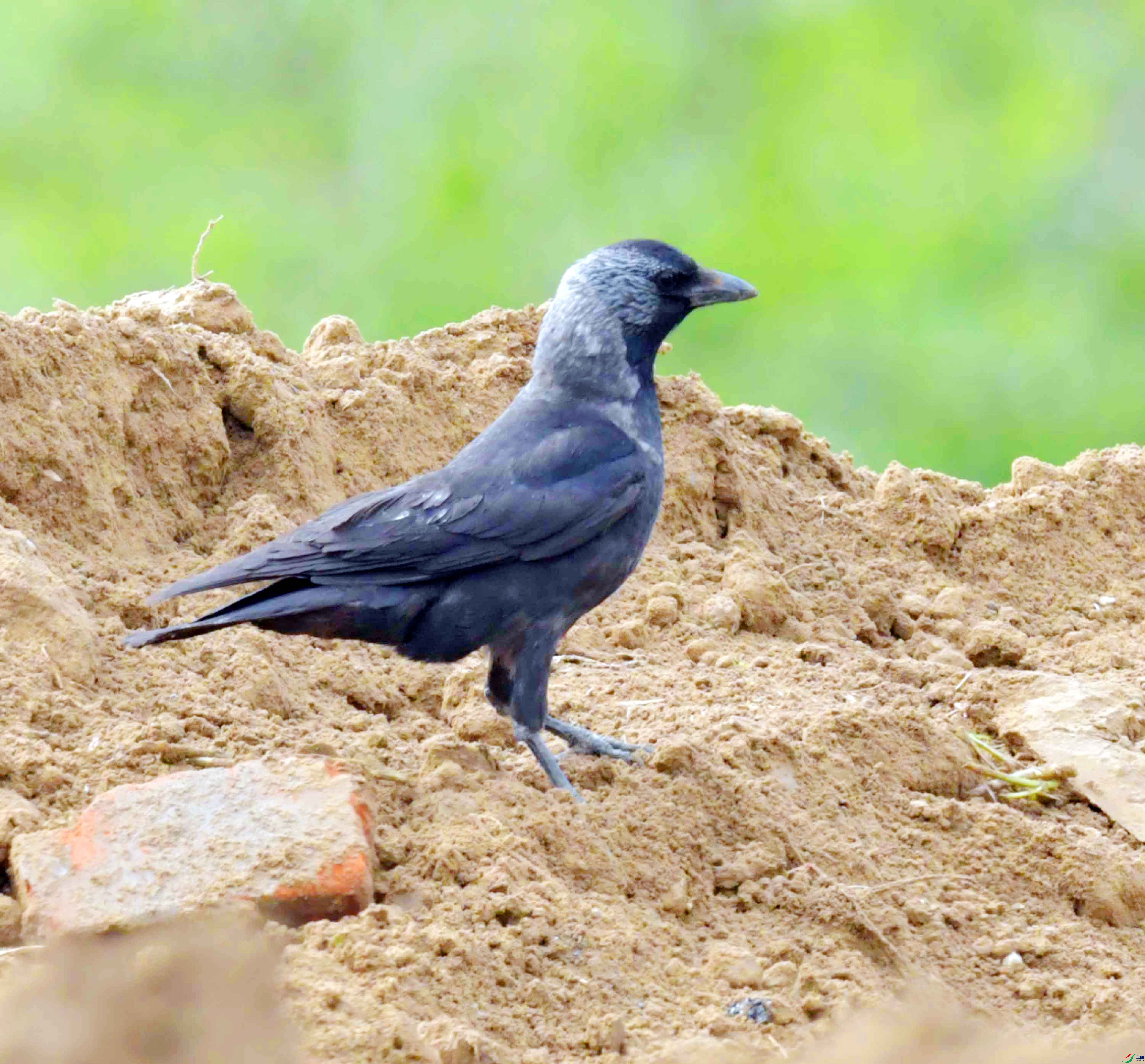 DSC_9004.JPG