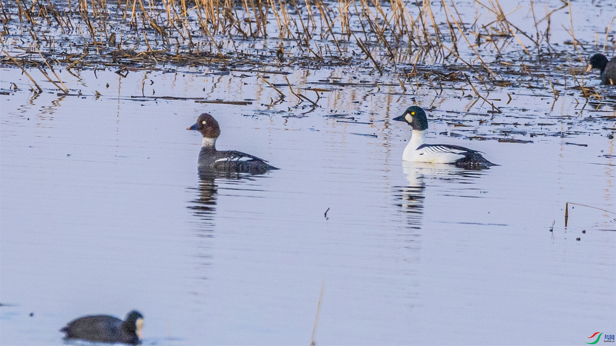 1K3A1968 ����1.jpg