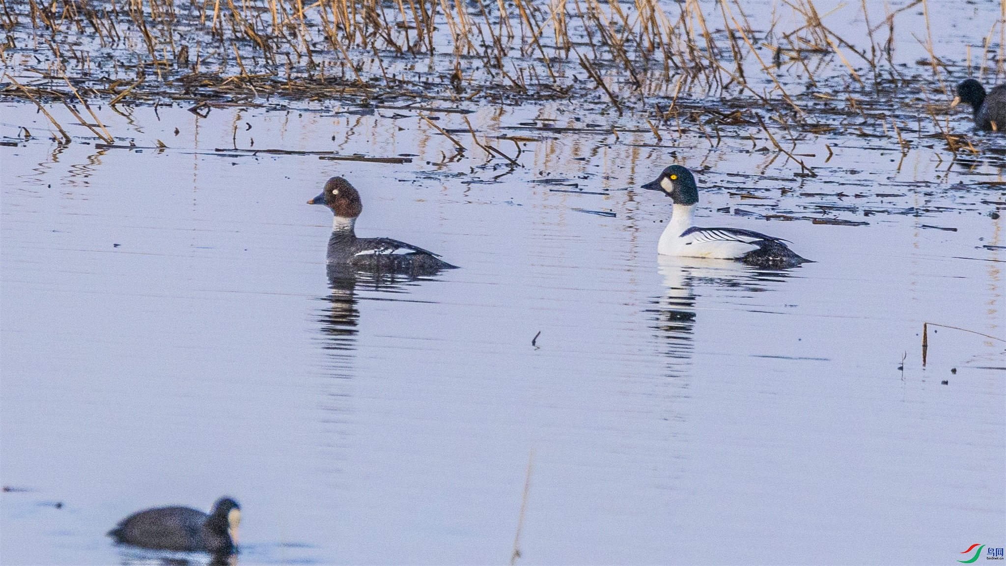 1K3A1969 ����1.jpg