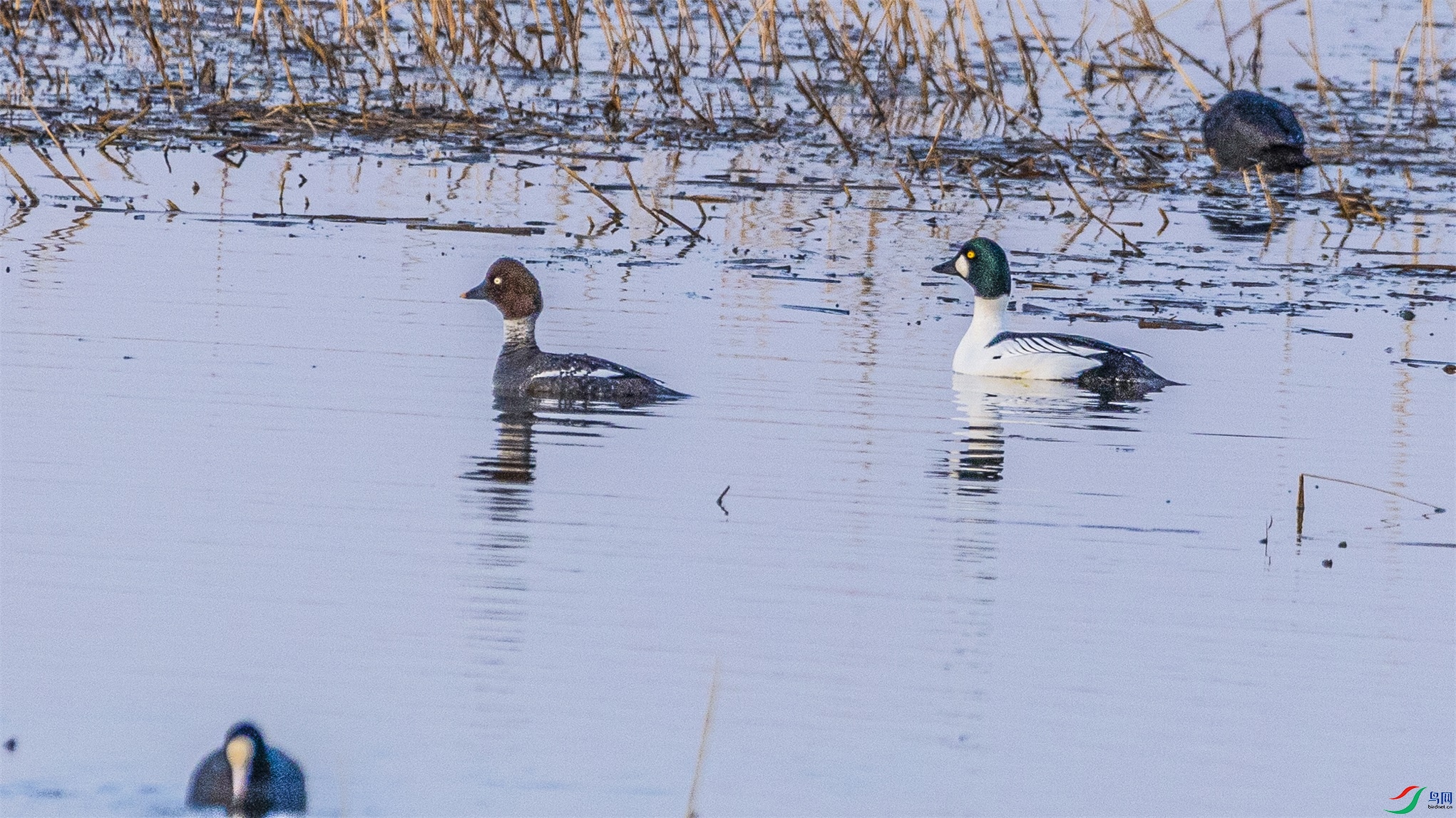 1K3A1976 ����1.jpg