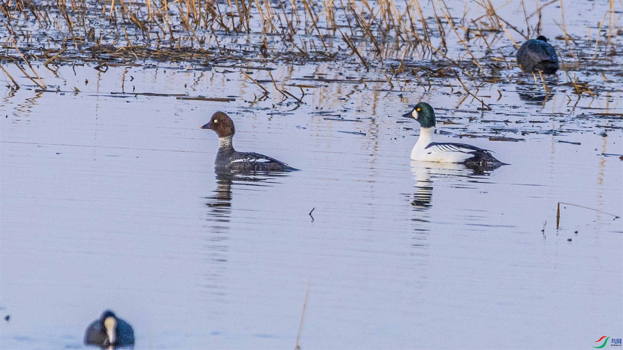 1K3A1978 ����1.jpg