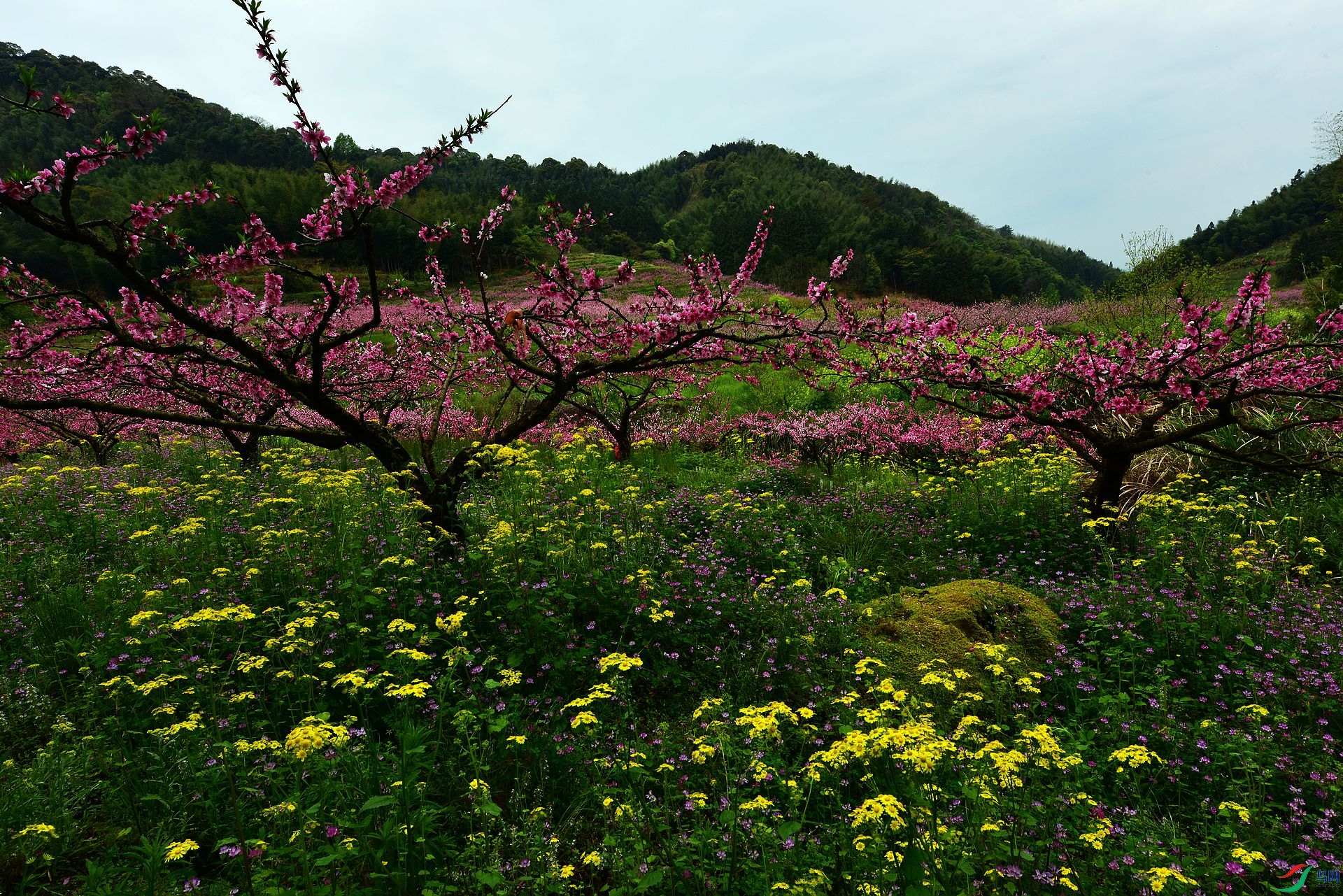 D8I_2873.jpg