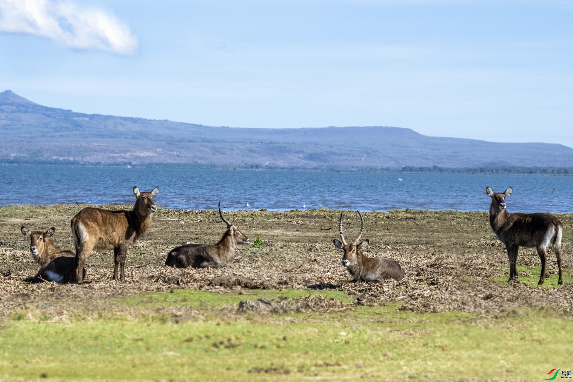 DSC_2399 ����.jpg