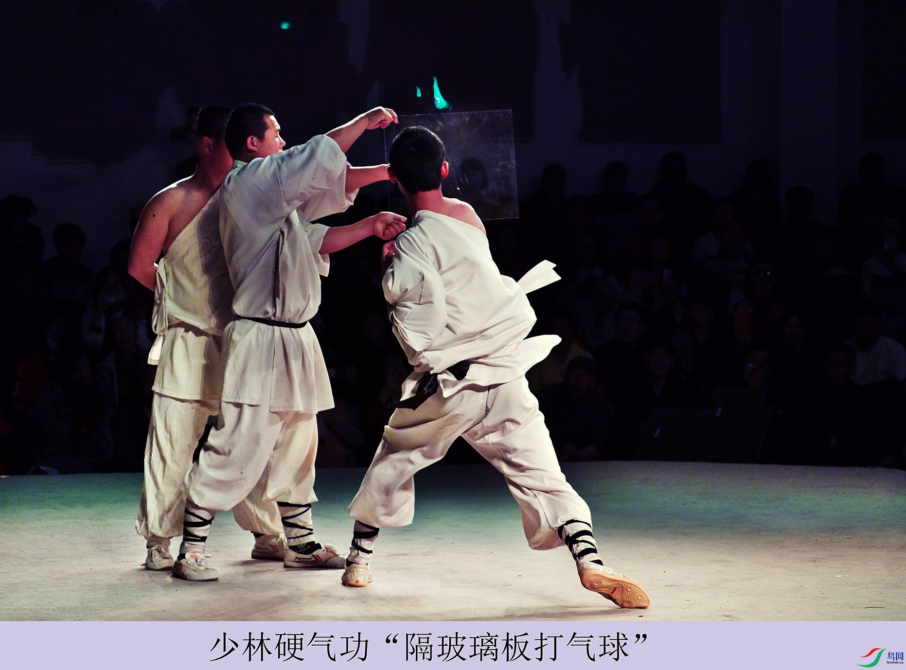DSC07271.jpg