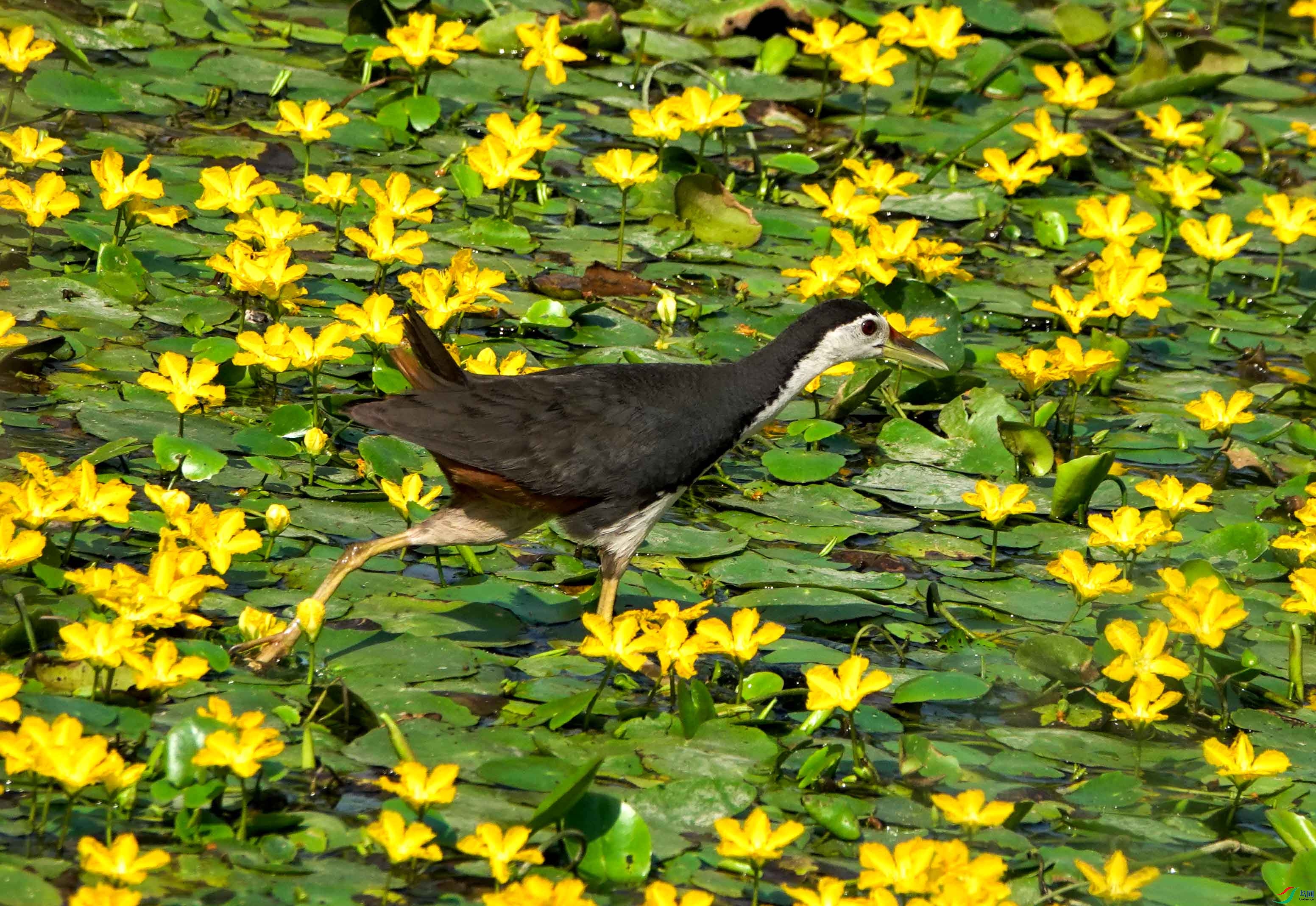 DSC07572.JPG