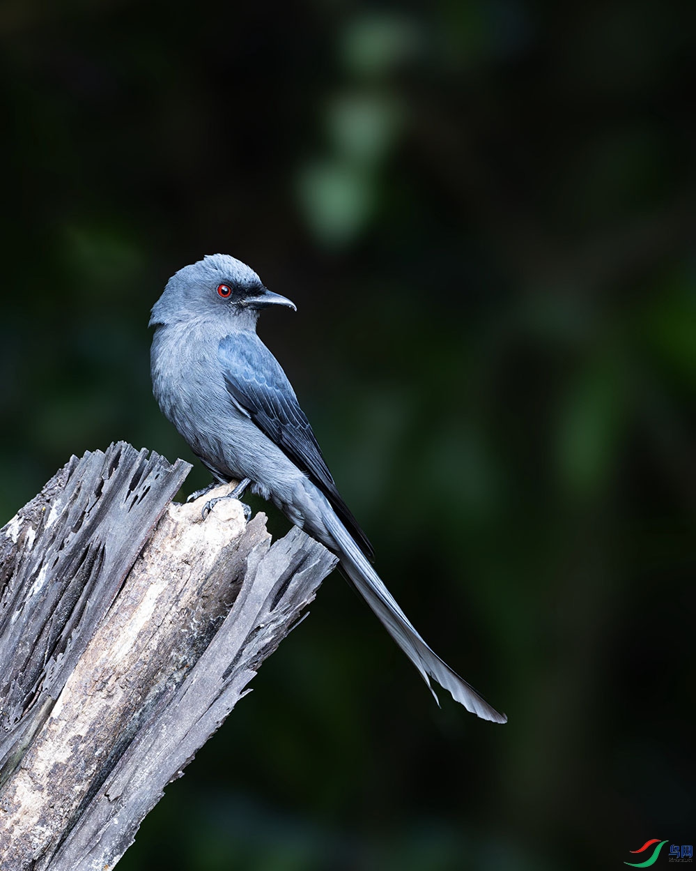 DSC_1503-����ǿ-NR ���� 2.jpg