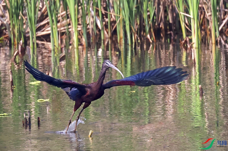 A28A7551-.jpg