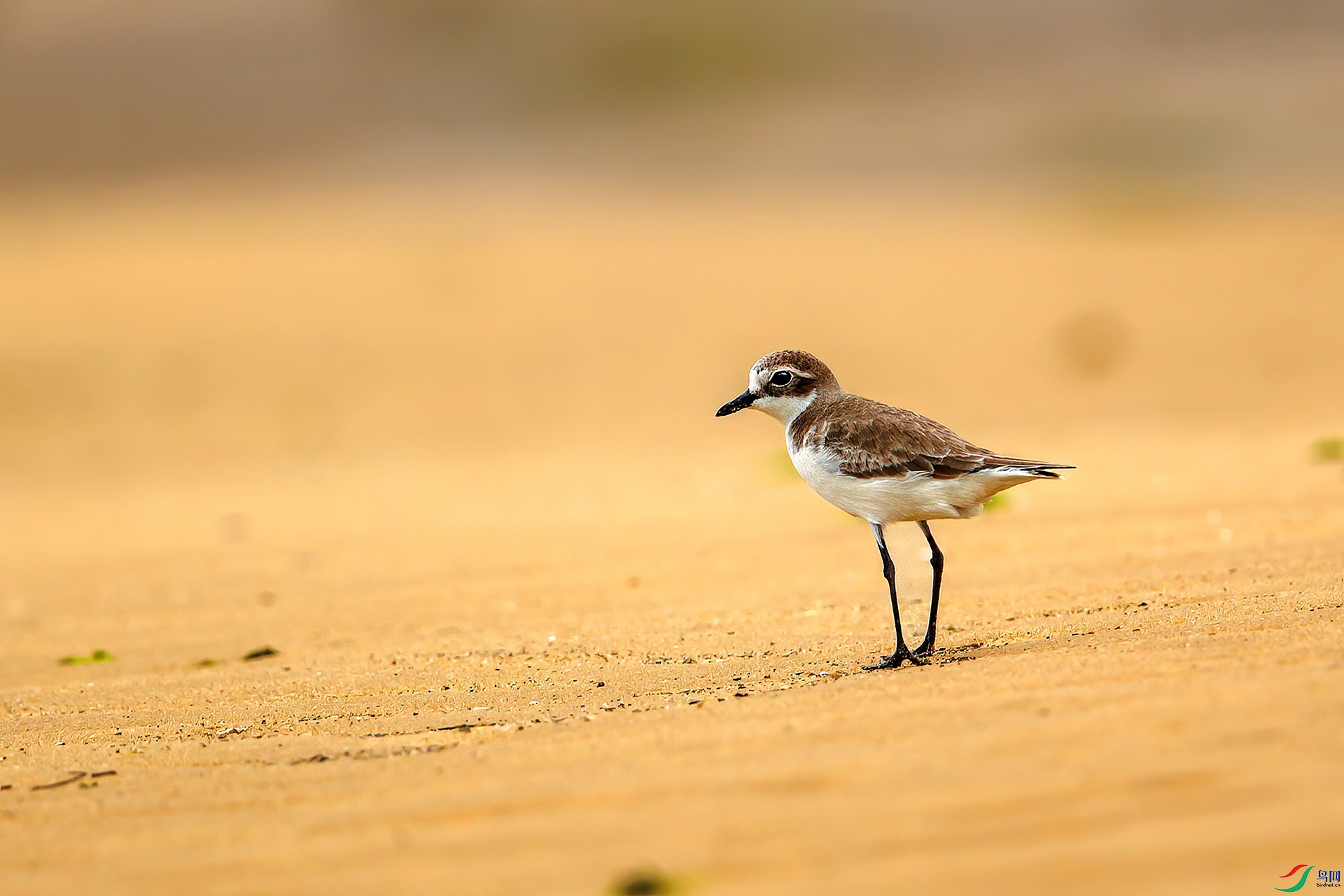 IMGL0046 ����.jpg