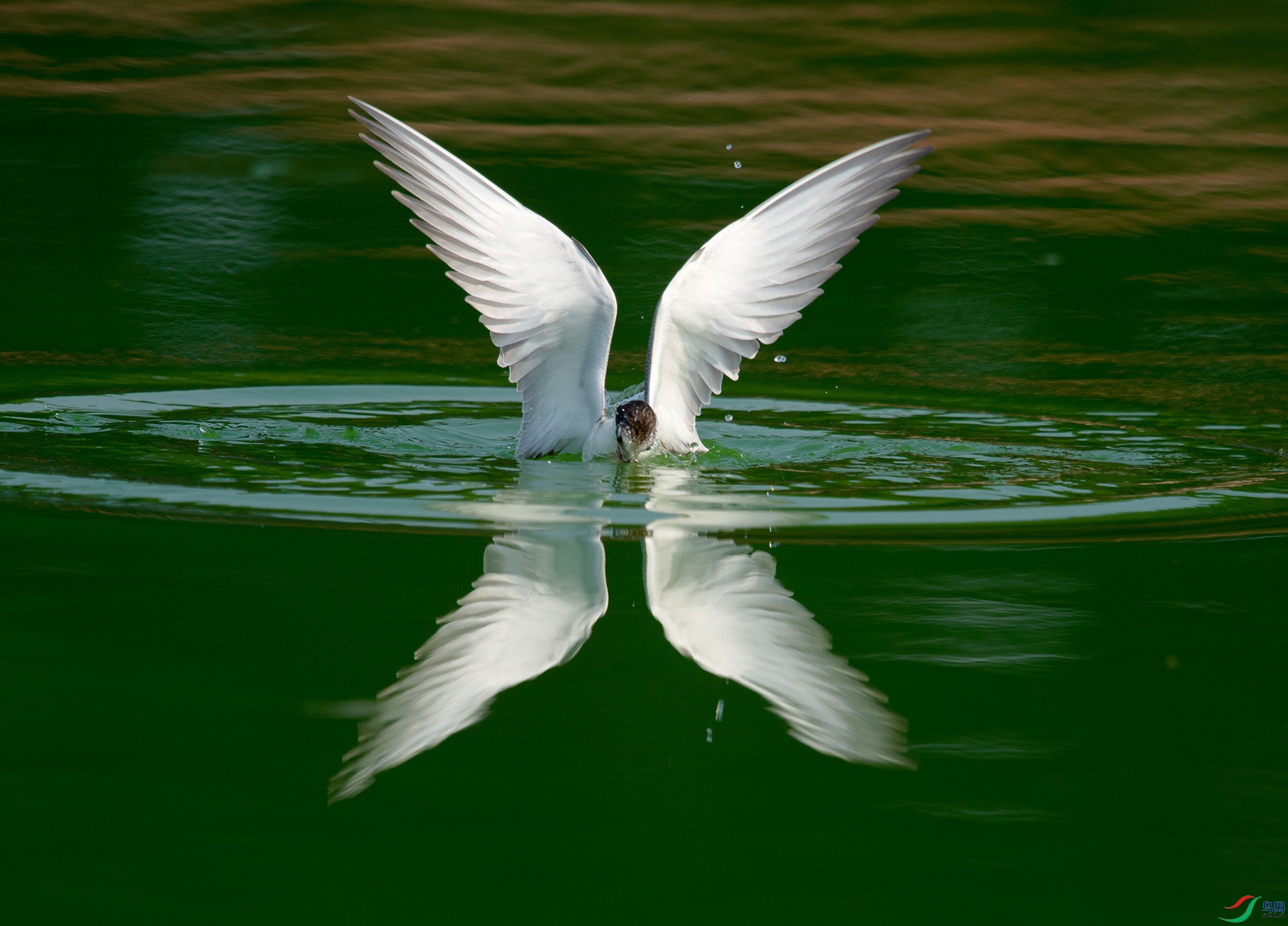 ��DSC_3420.jpg