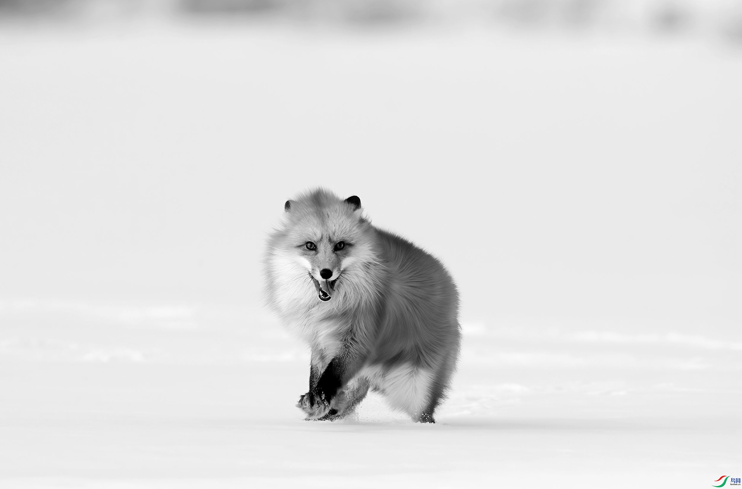 AC3I1708 ����_����.jpg