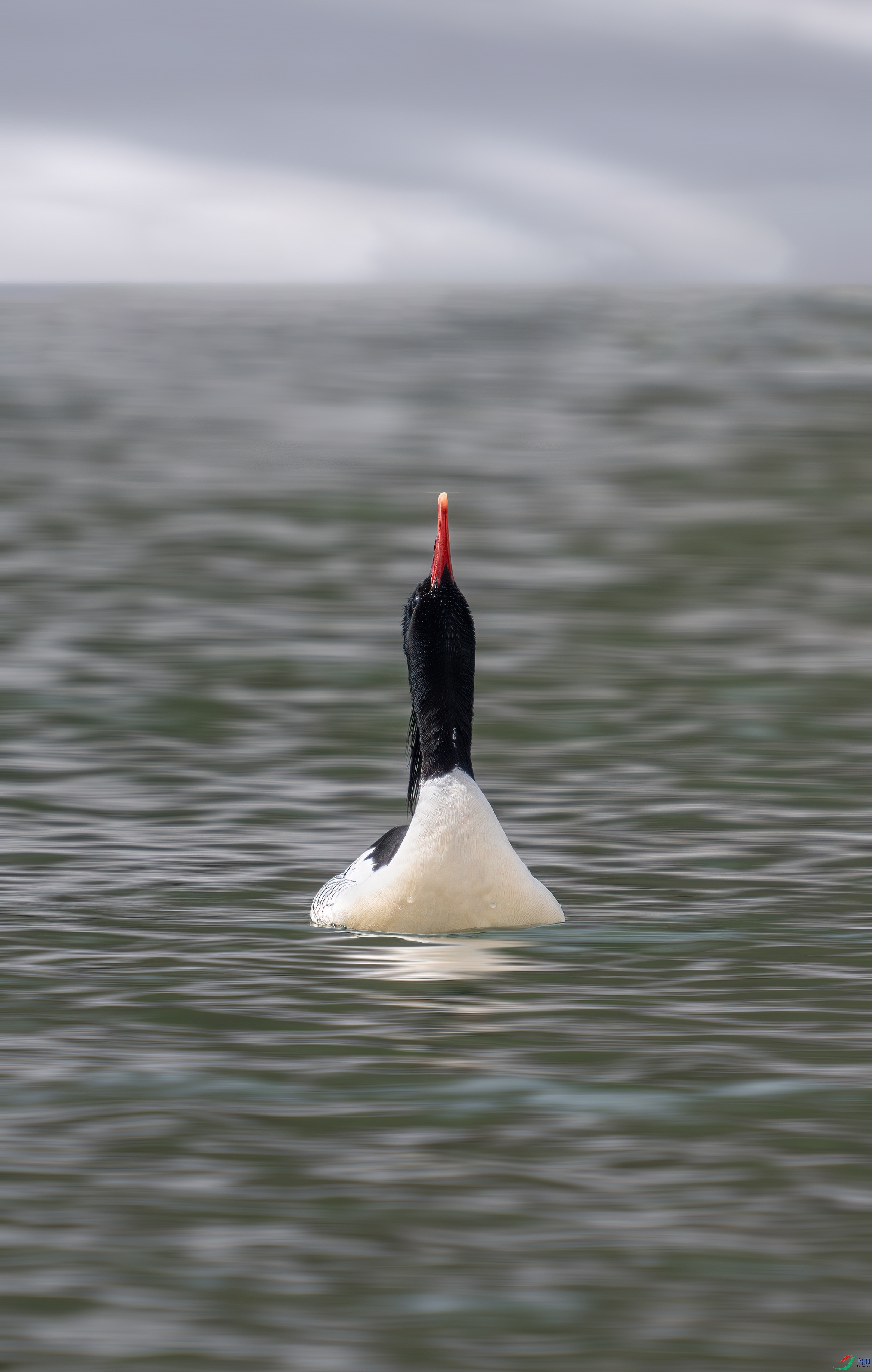 DSC06379-����ǿ-NR ����.jpg