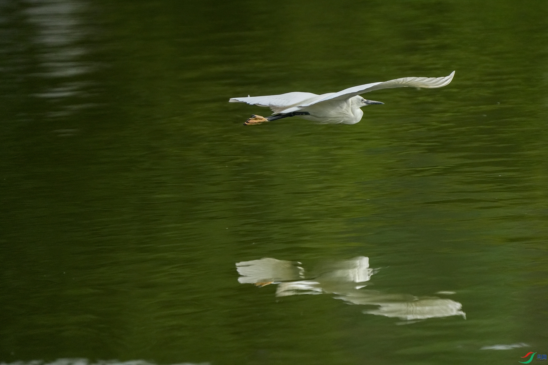 DSC05698 ����1111.jpg