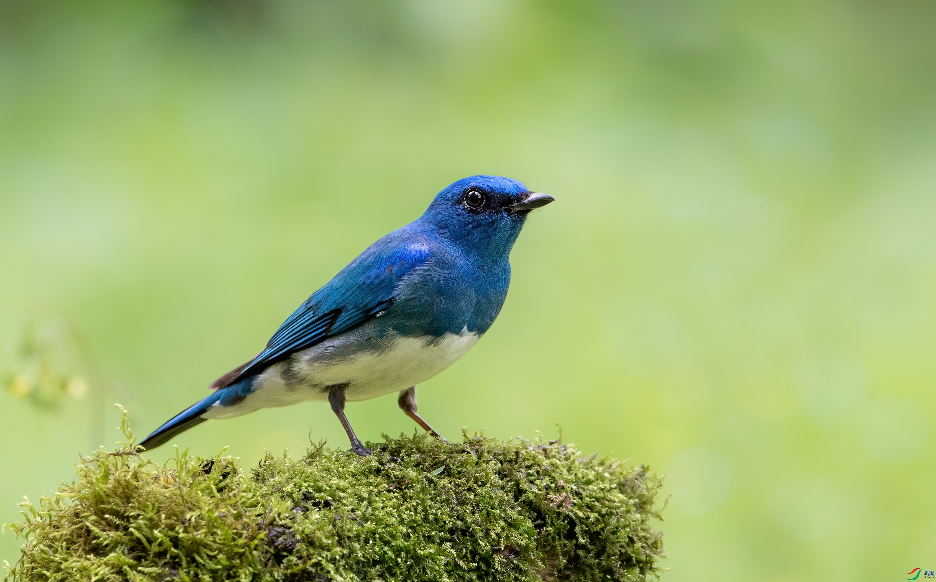 DSC_7104-1.jpg