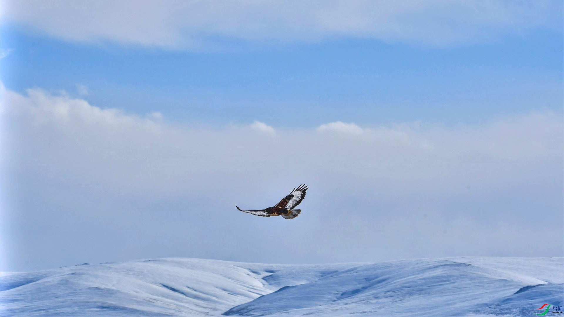 DSC_7175 (3)_����.jpg