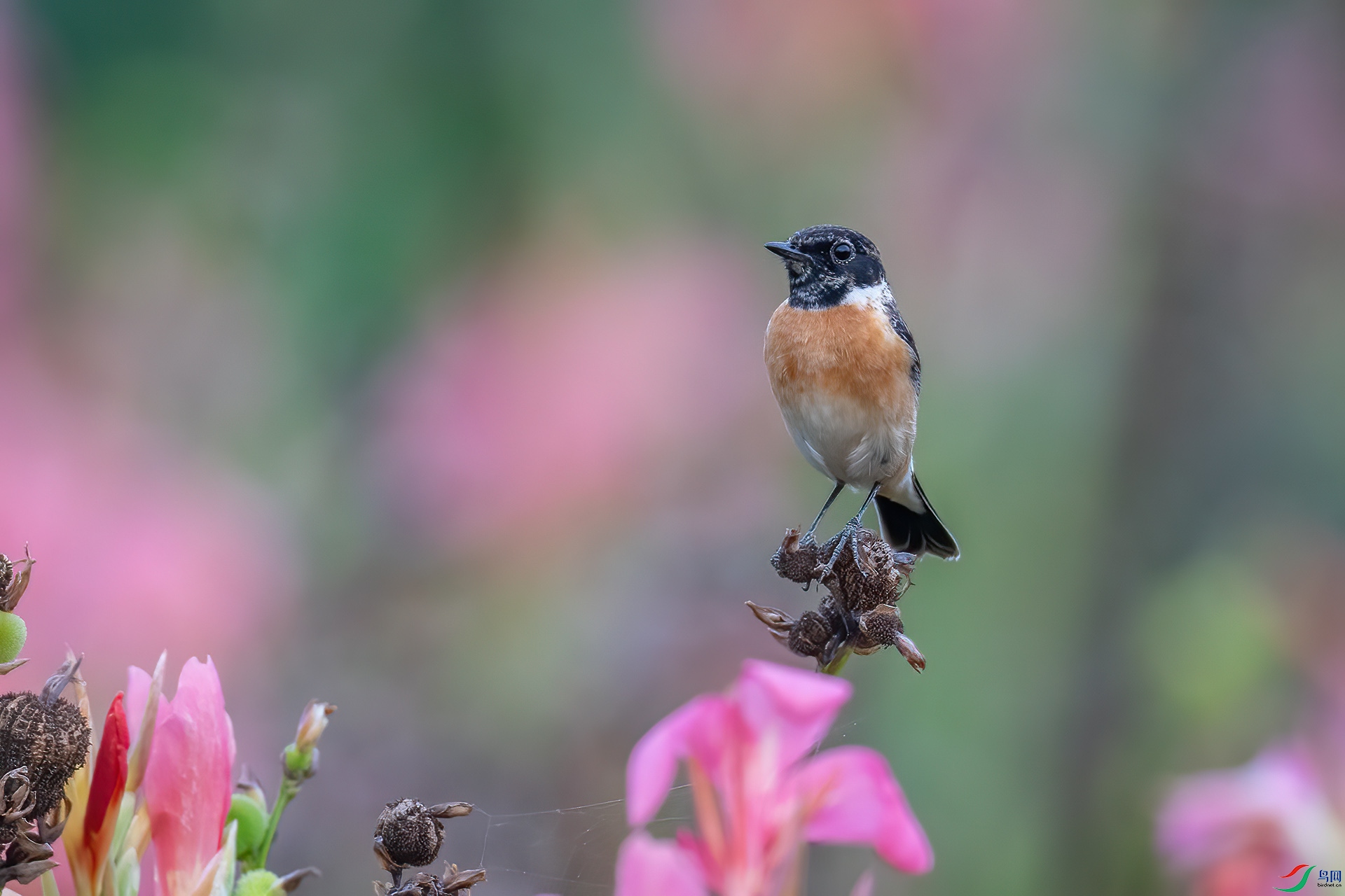 DSC_1848.jpg