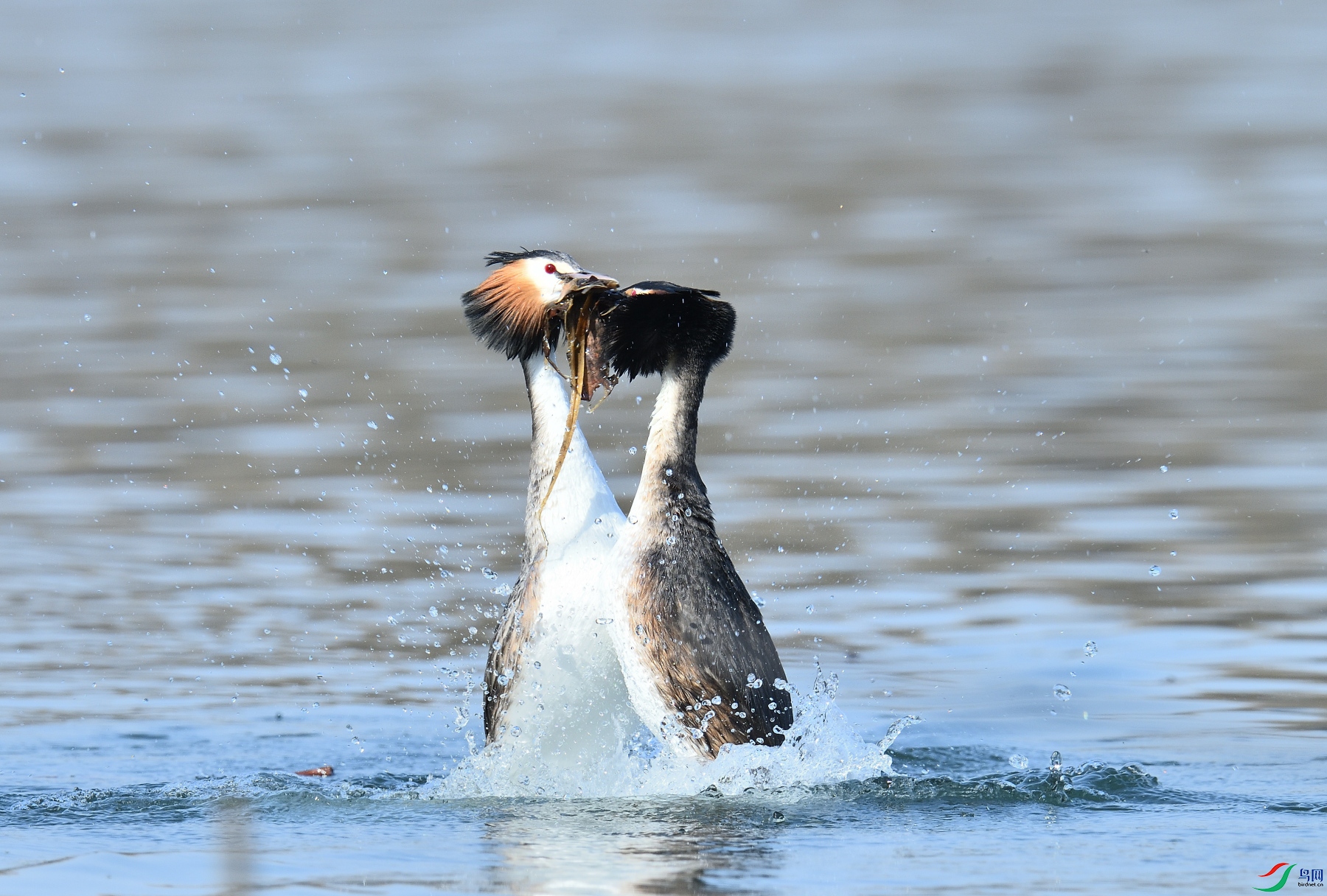 DSC_7305.JPG