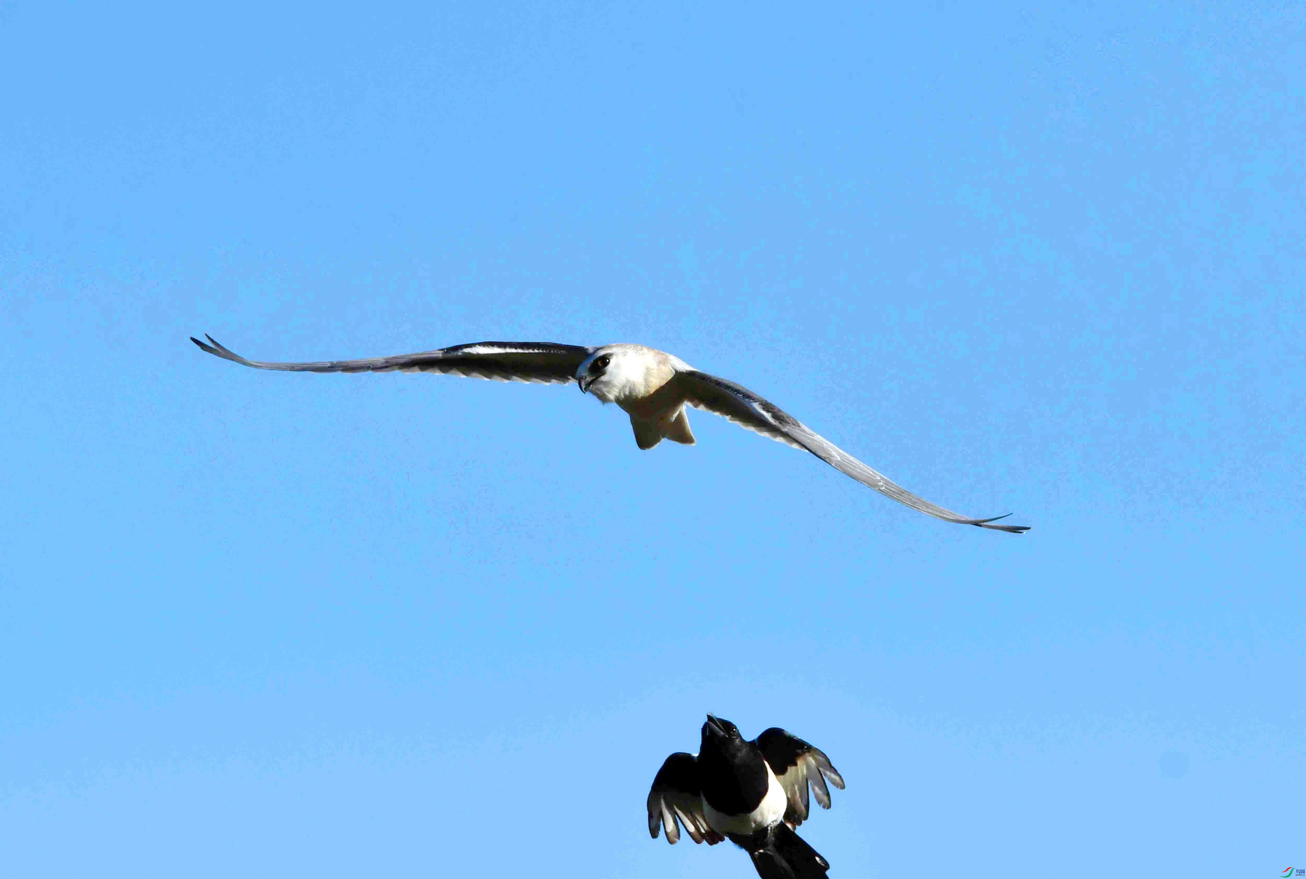 DSC_1549.JPG