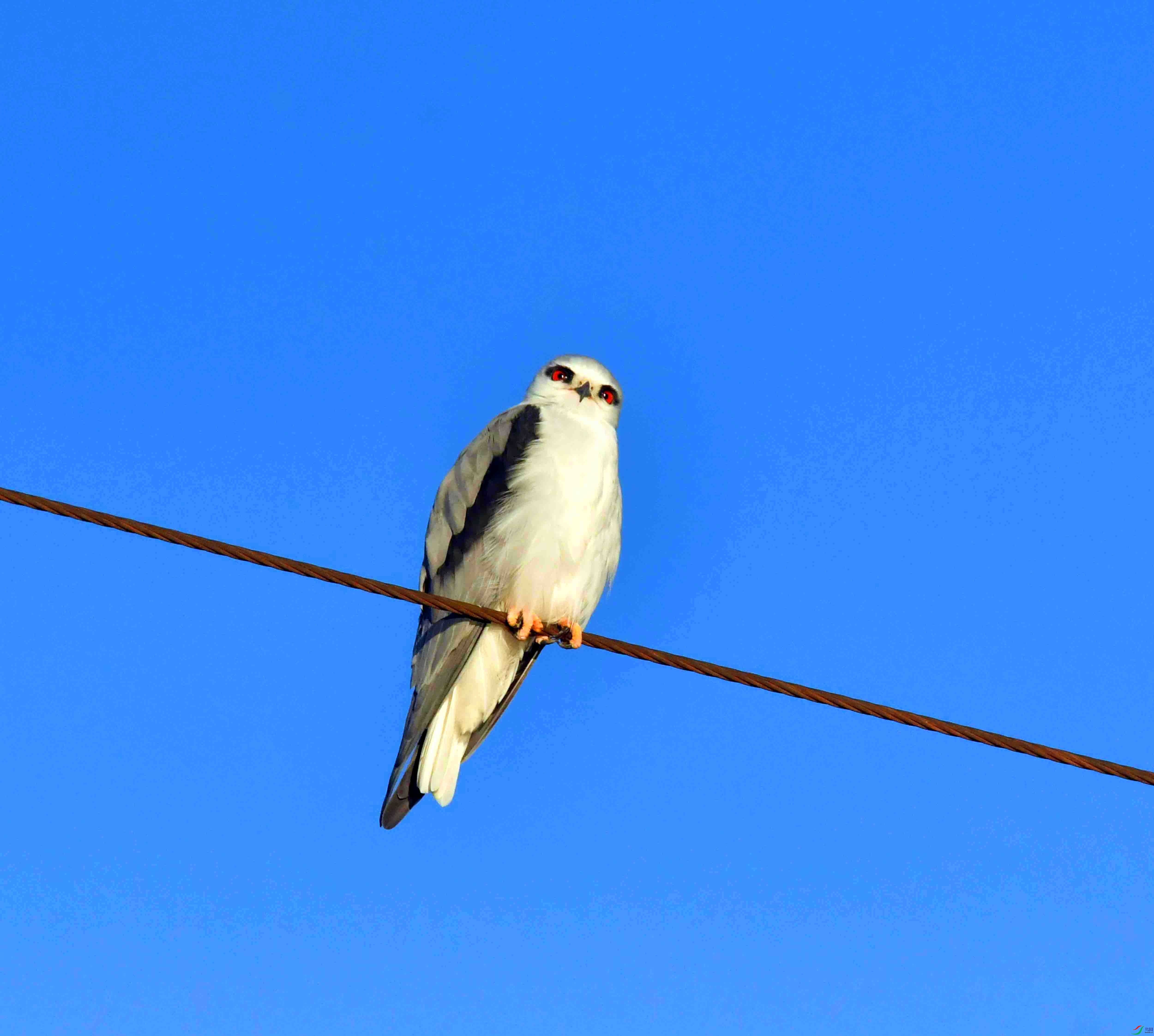 DSC_2322.JPG