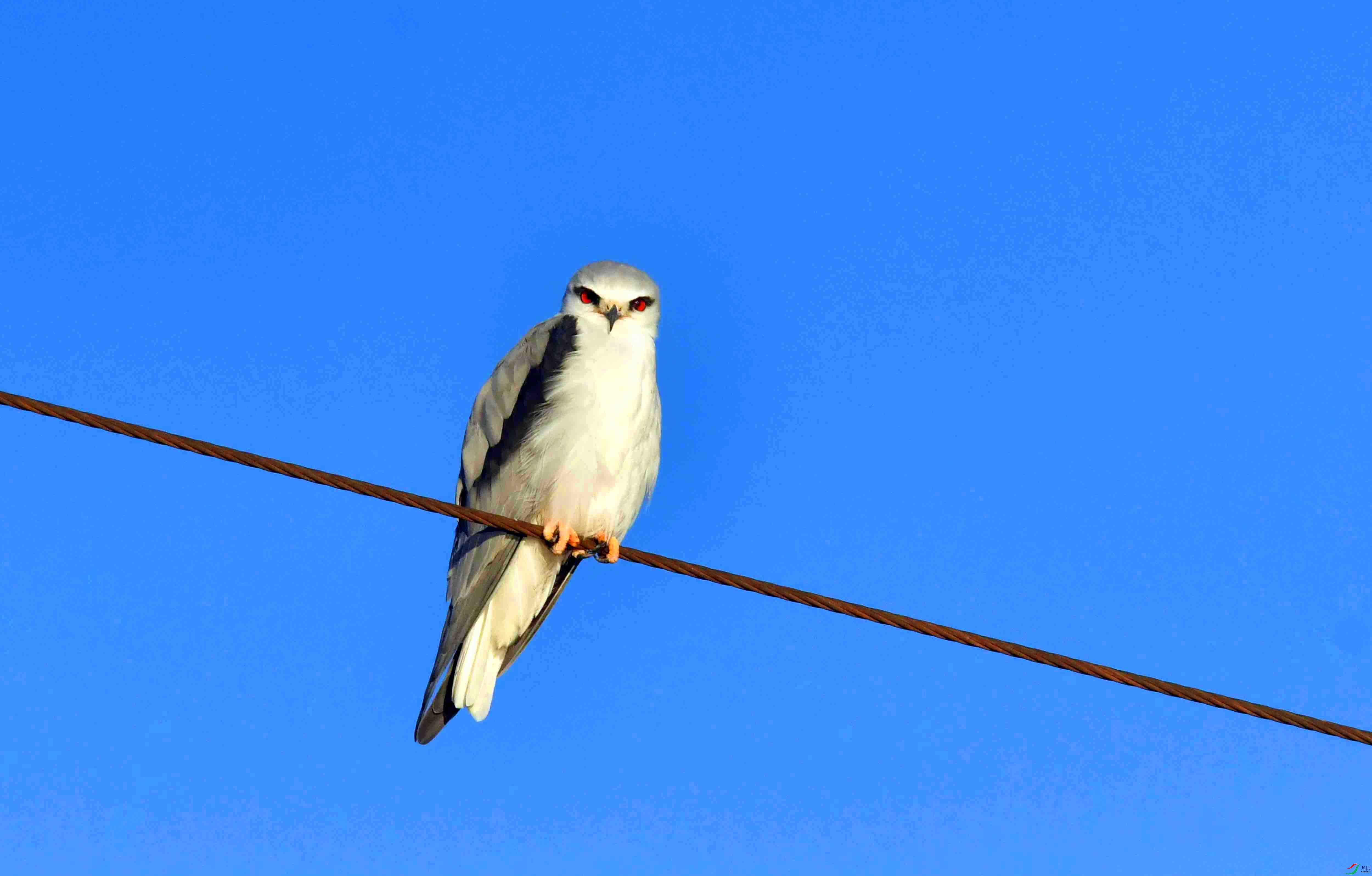 DSC_2324.JPG