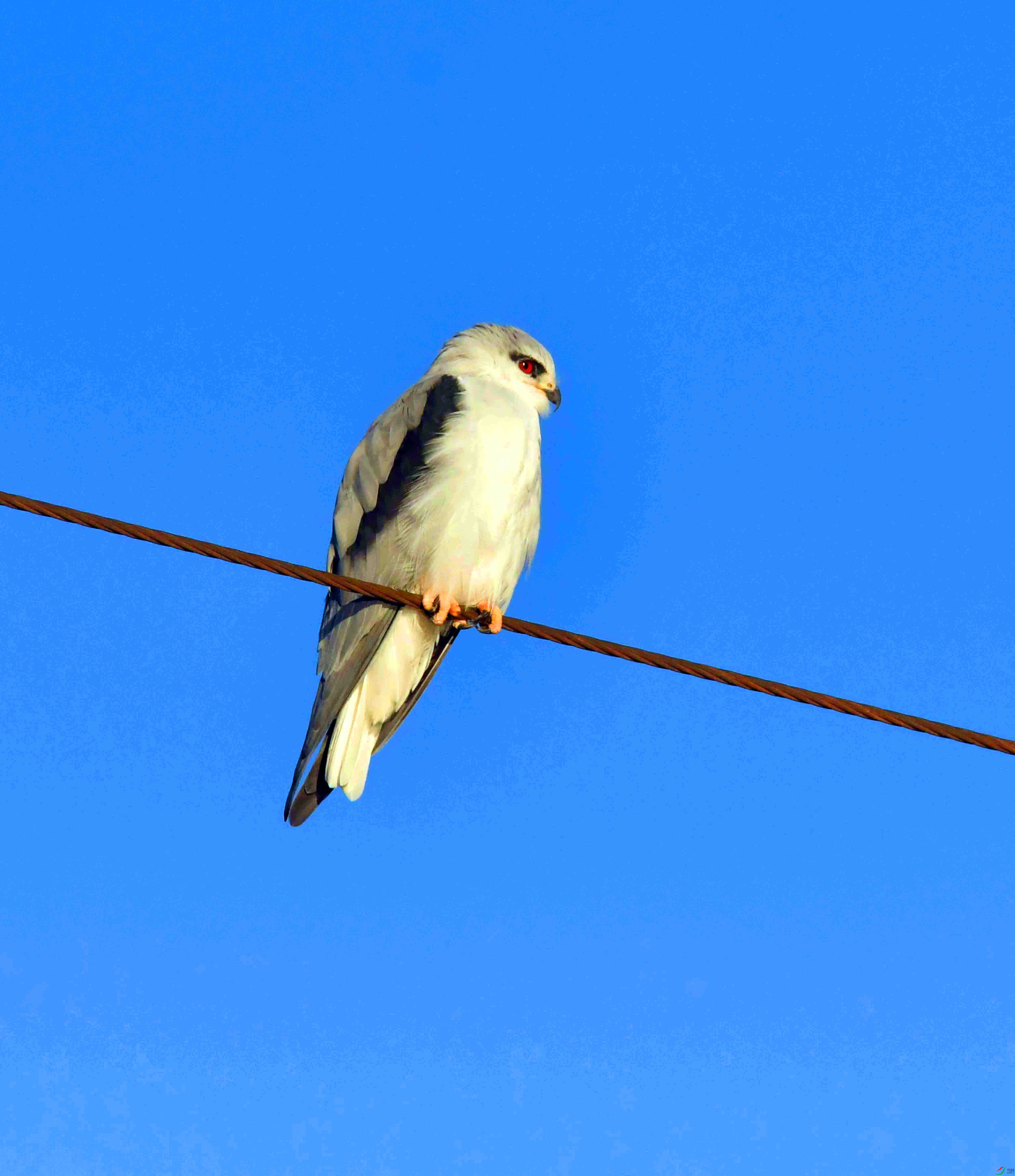DSC_2328.JPG