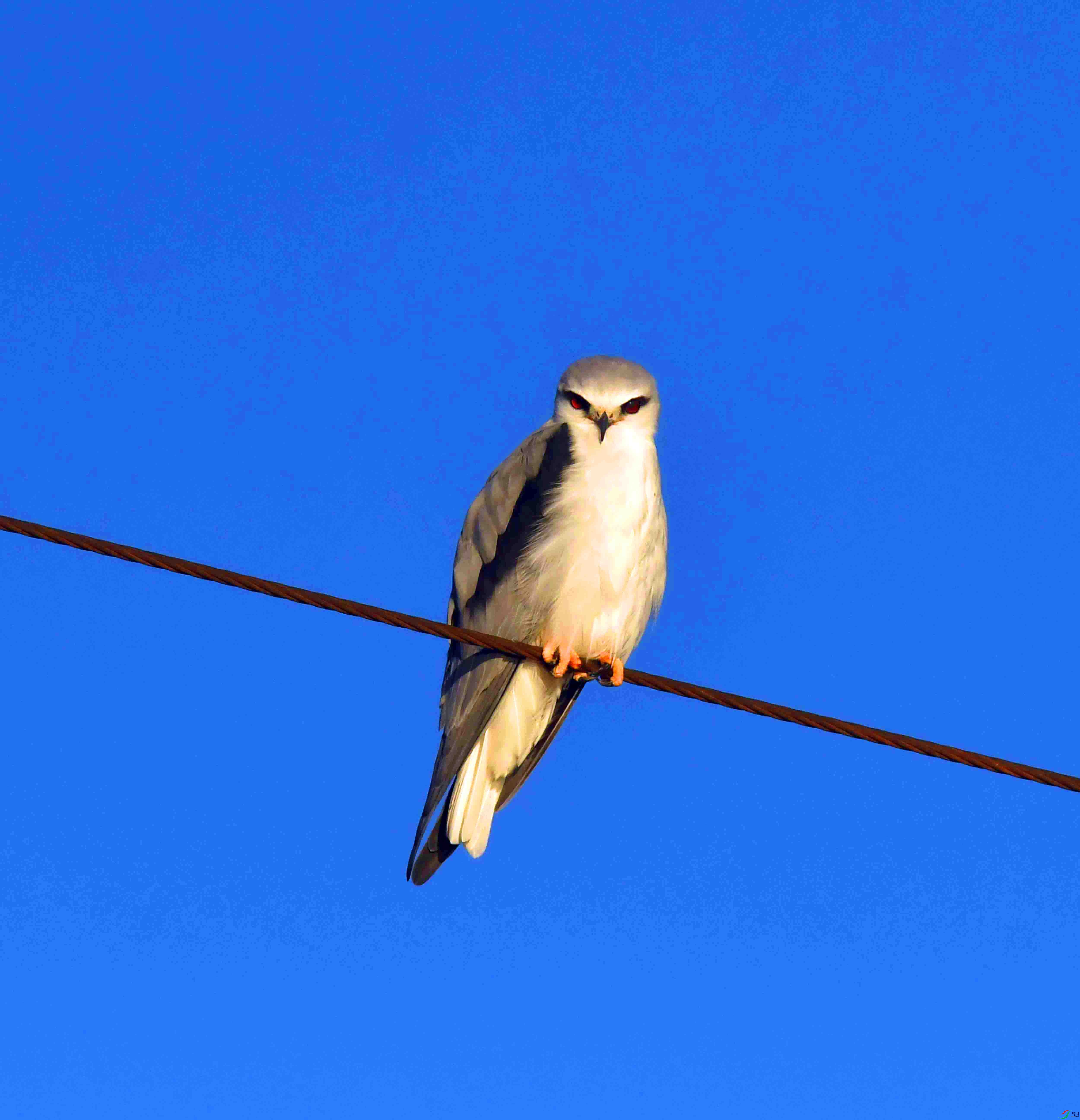 DSC_2331.JPG