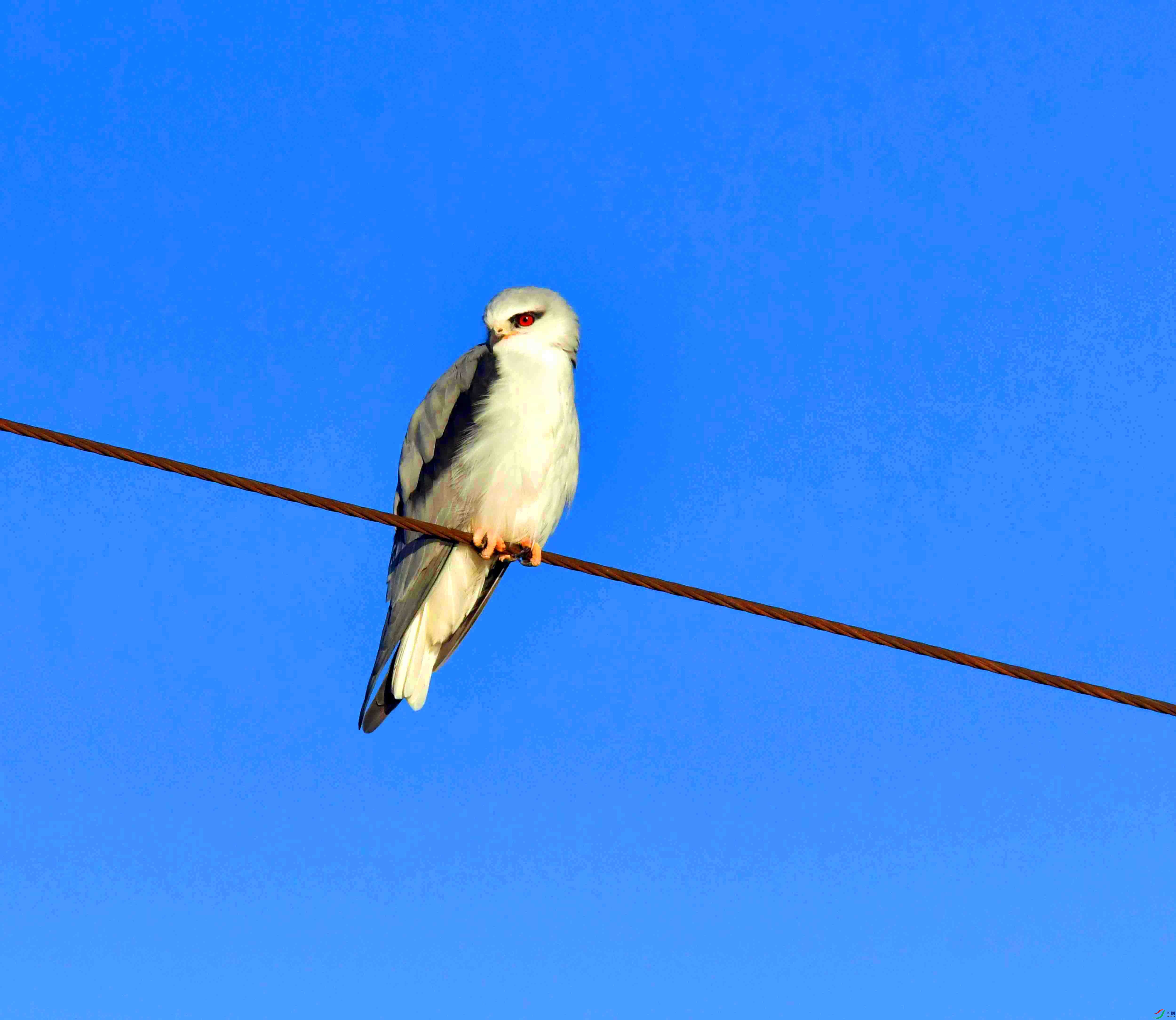 DSC_2332.JPG