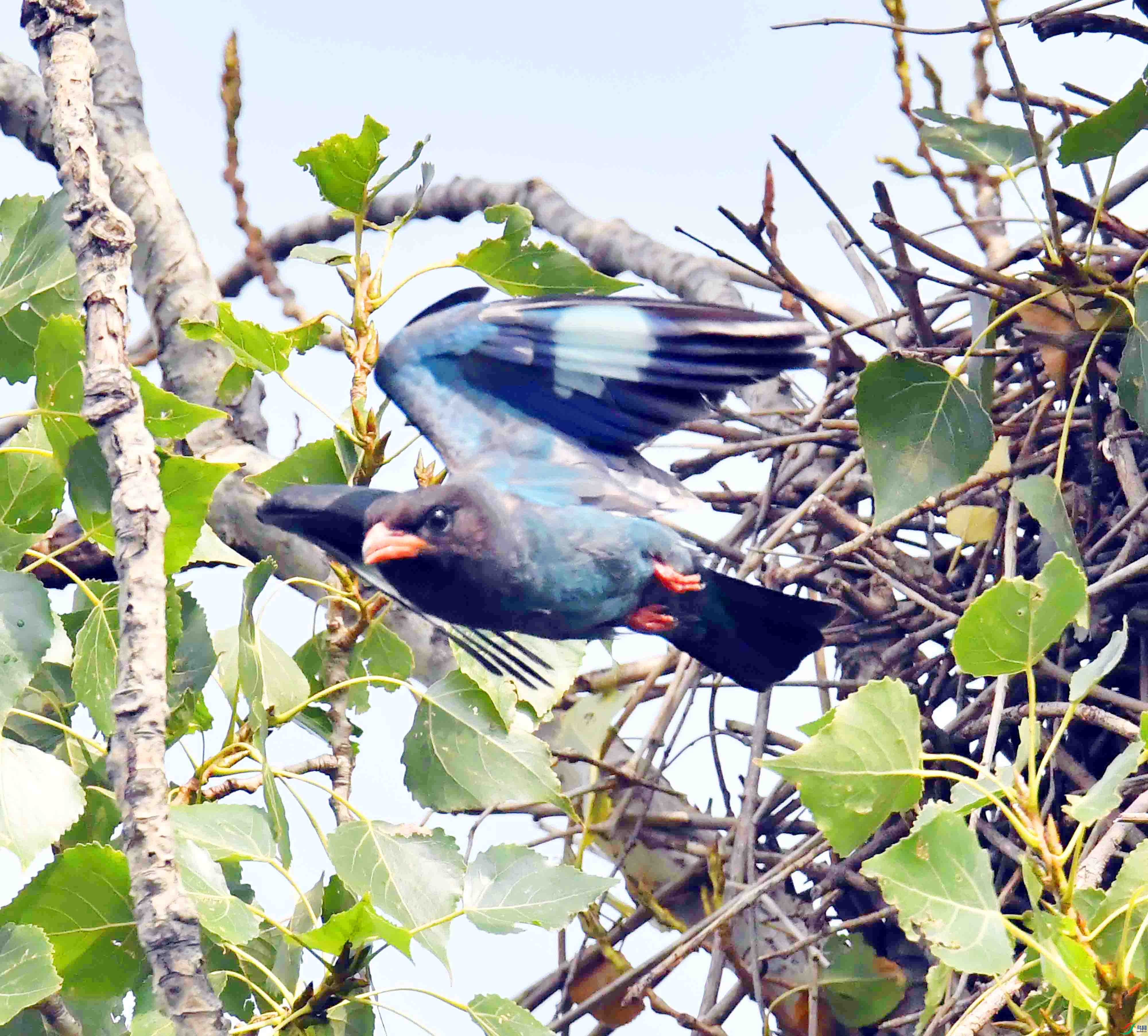 DSC_3043.JPG