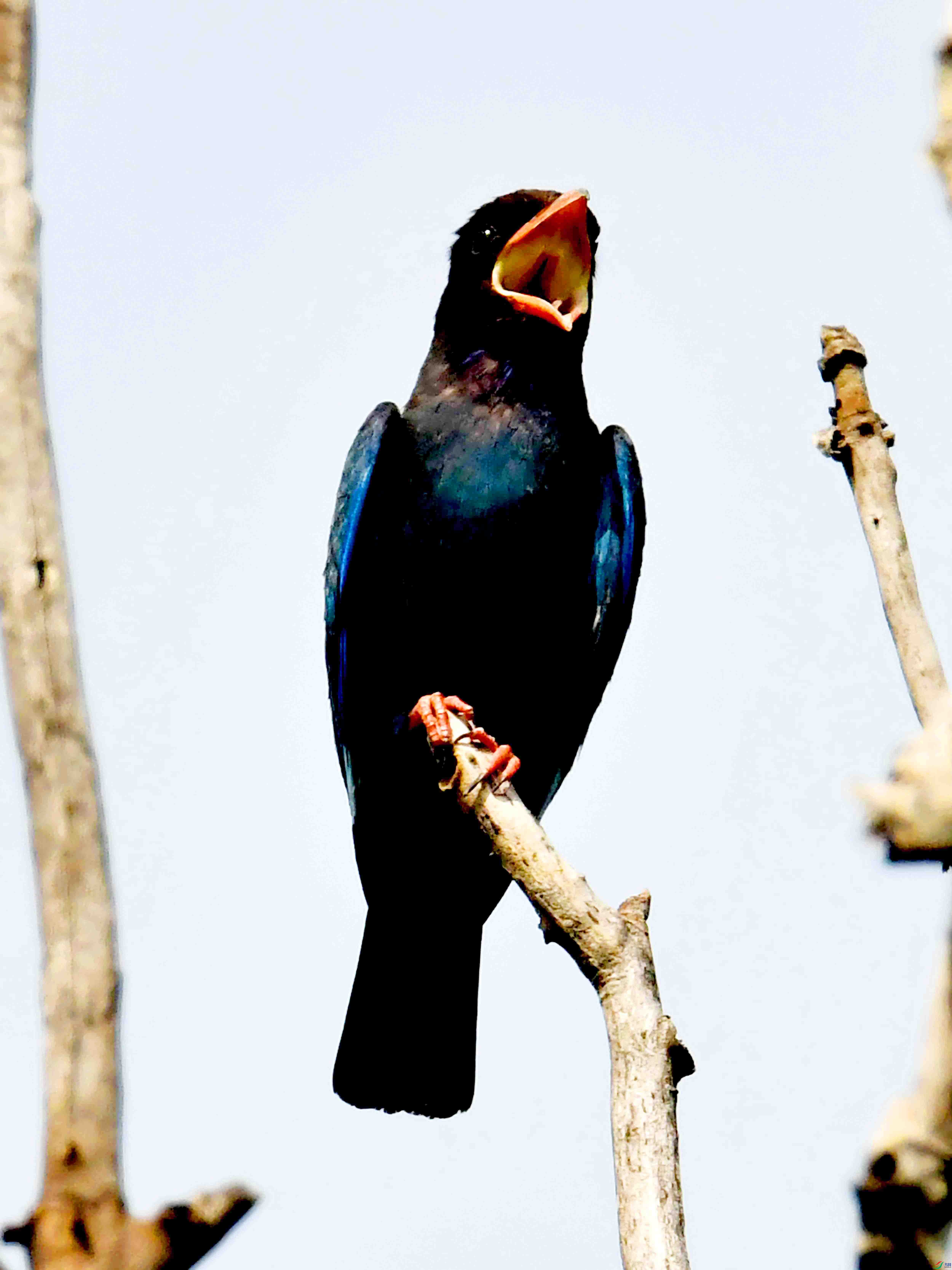 DSC_3098.JPG