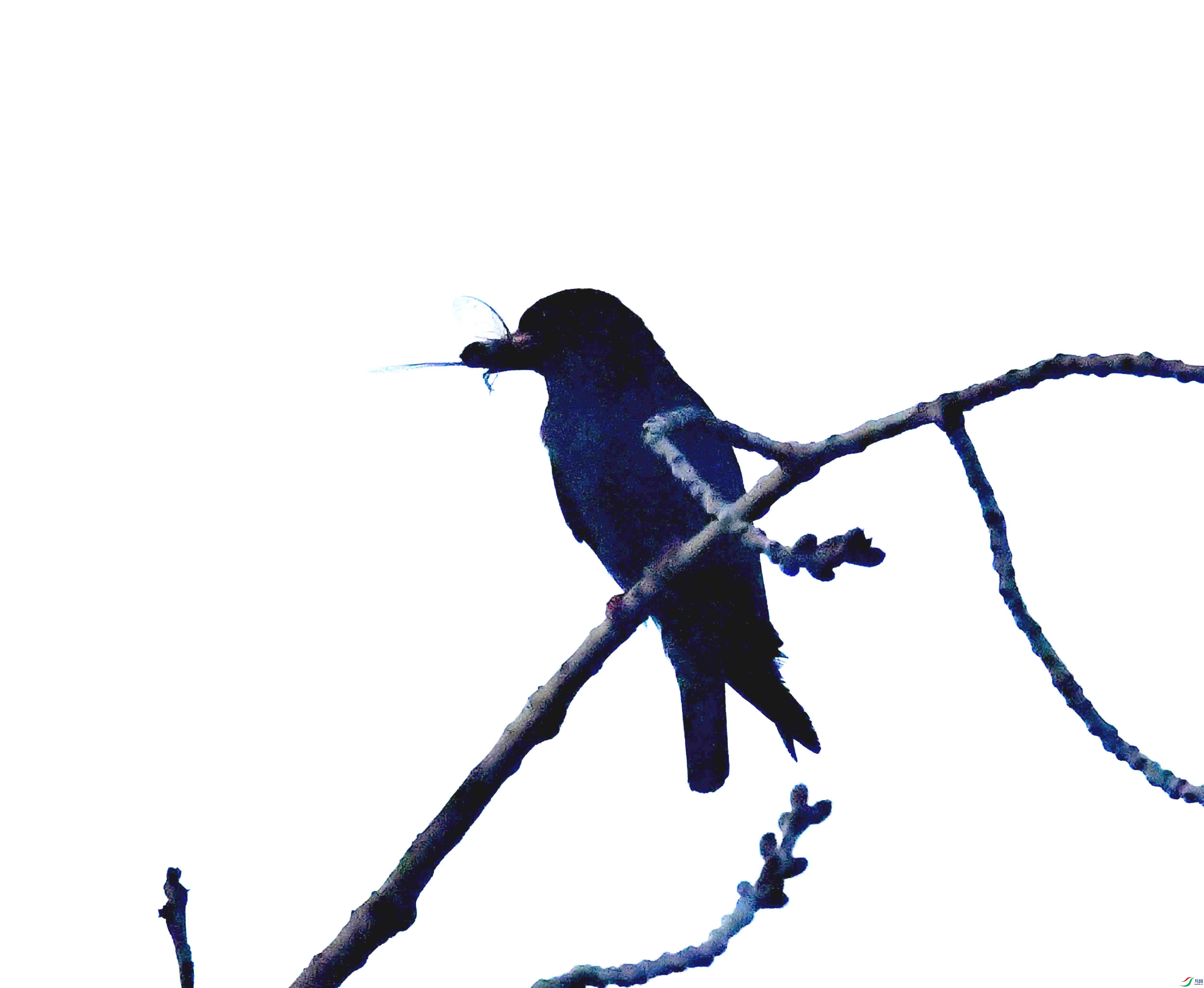 DSC_3132.JPG