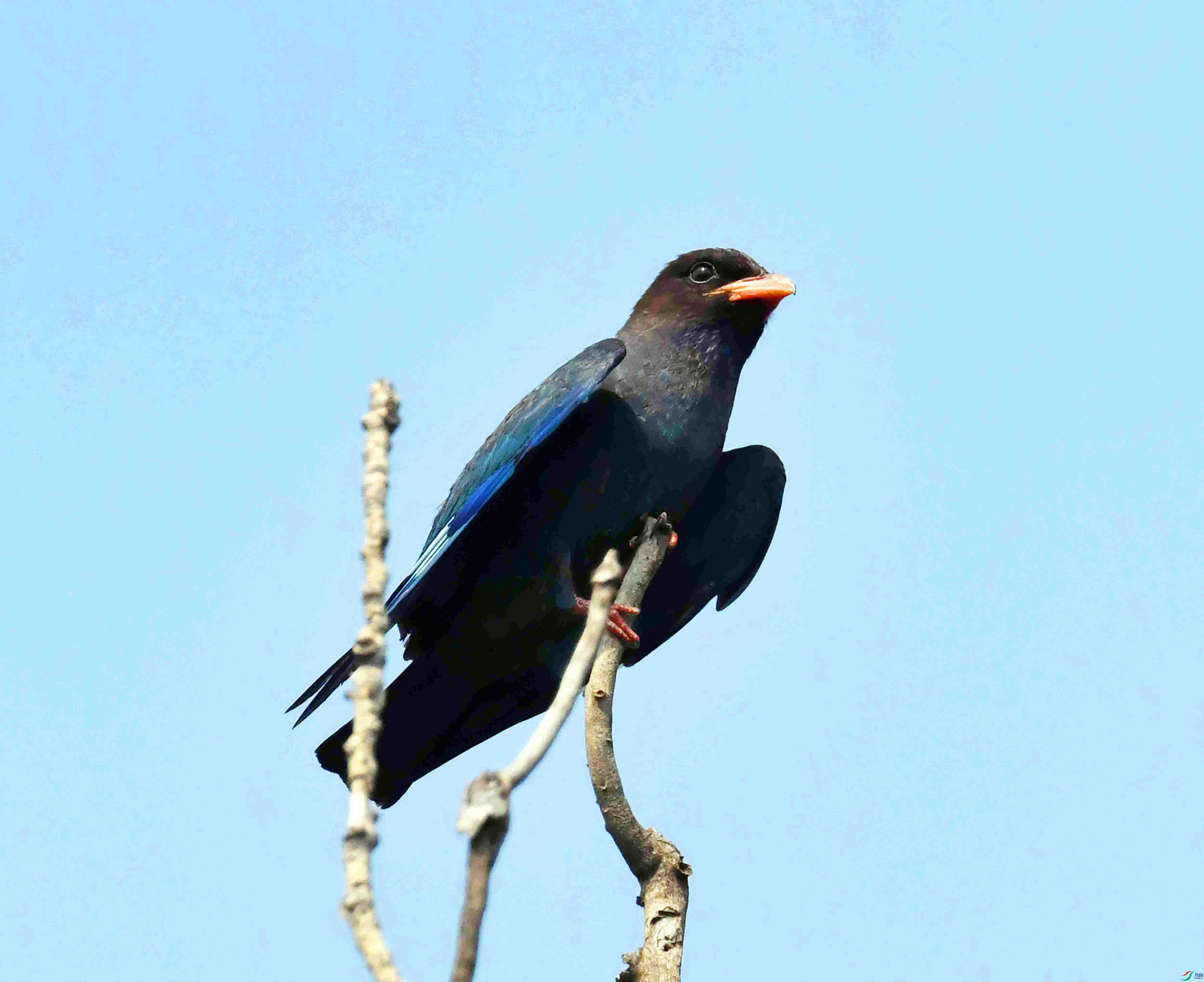 DSC_4091.JPG