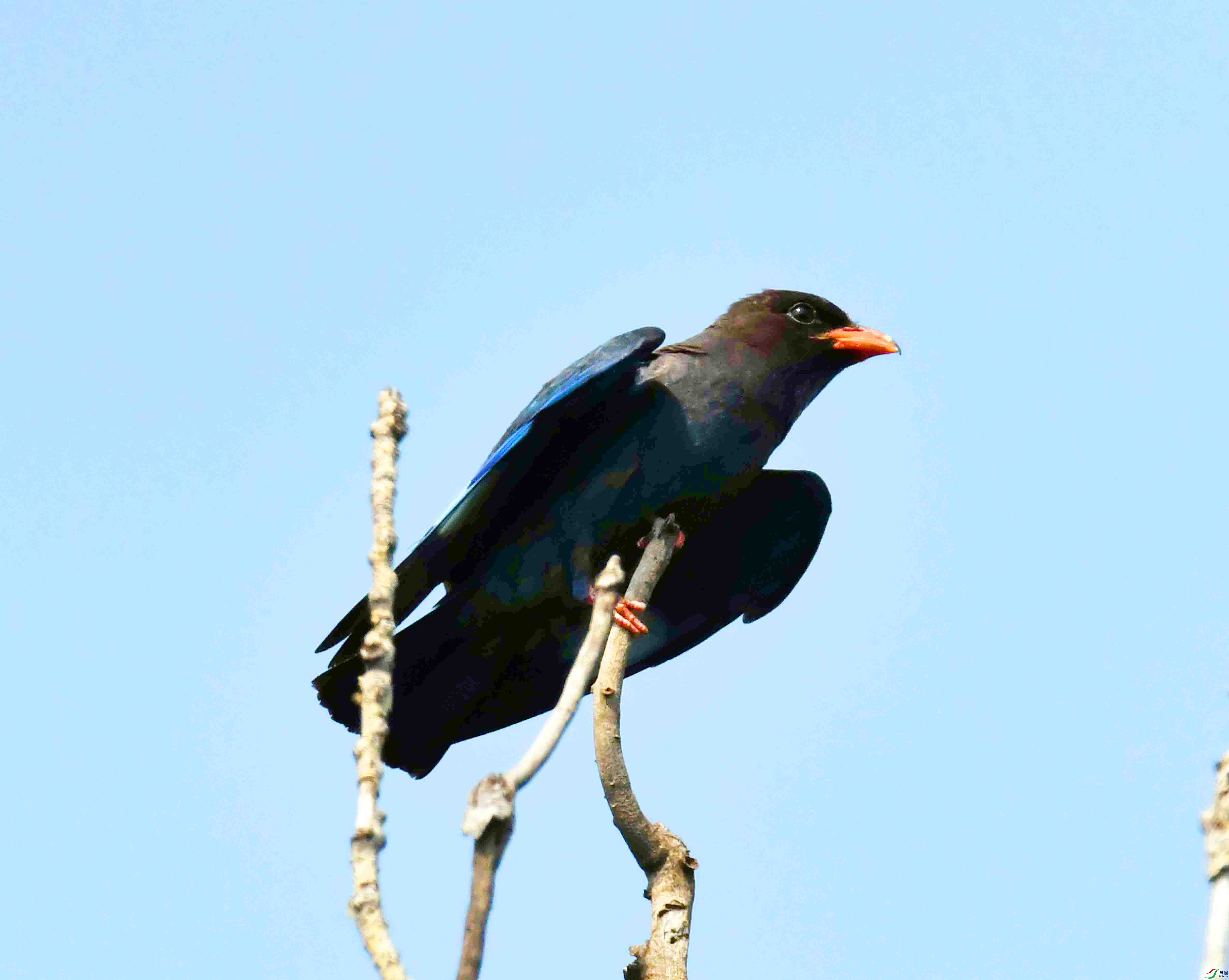 DSC_4080.JPG