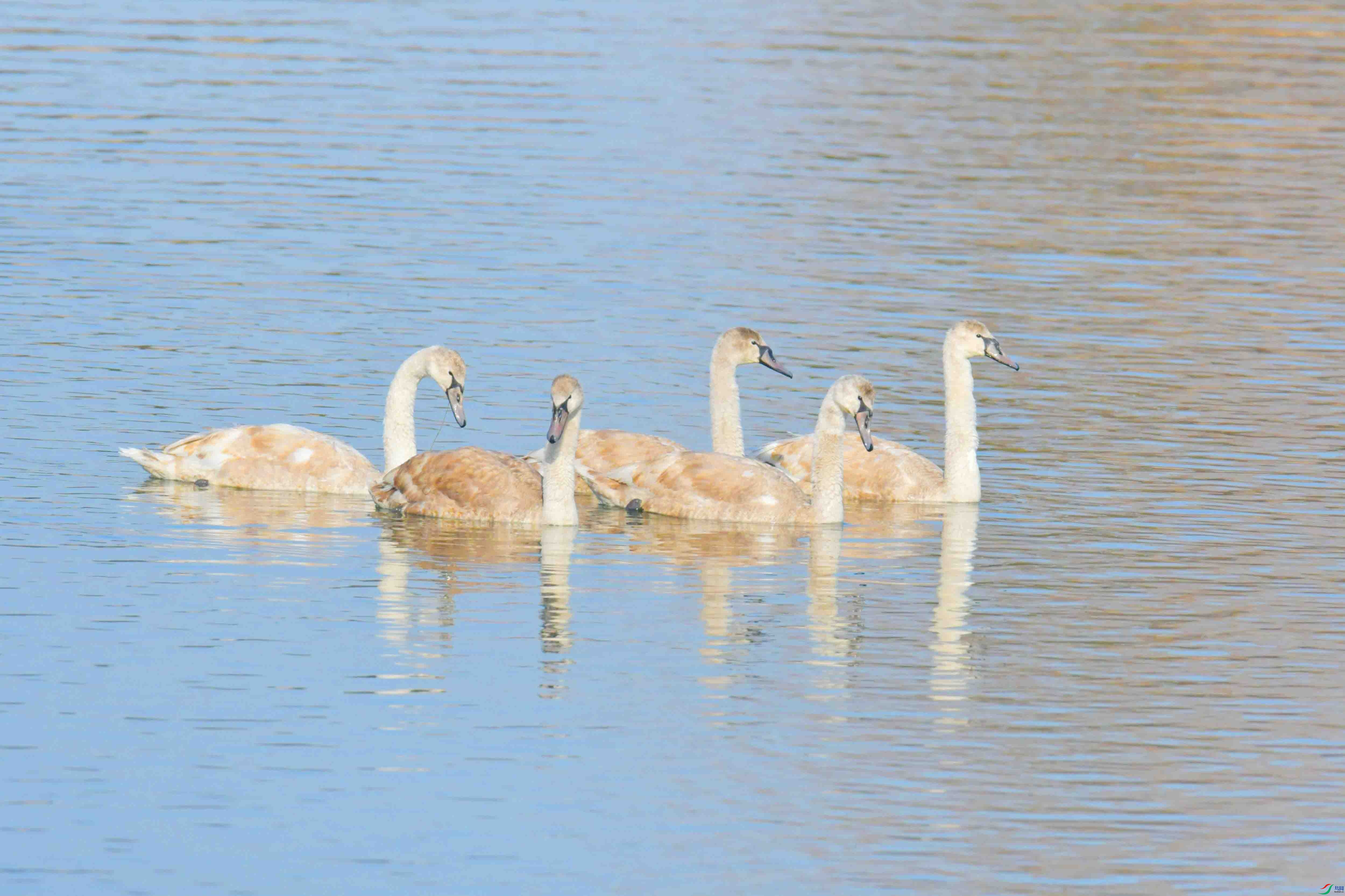 DSC_8401.JPG